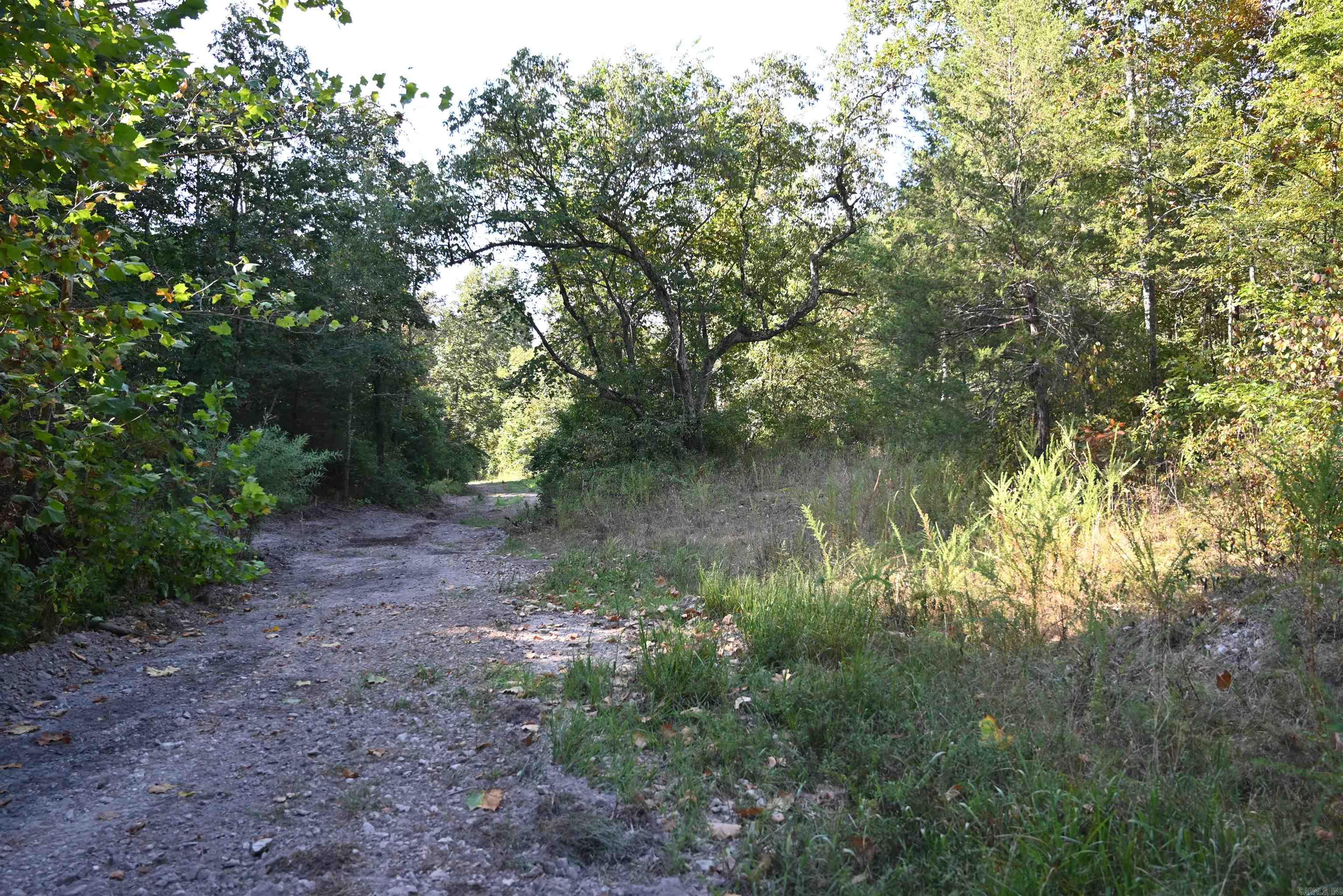 3875 Tomahawk Slab Road