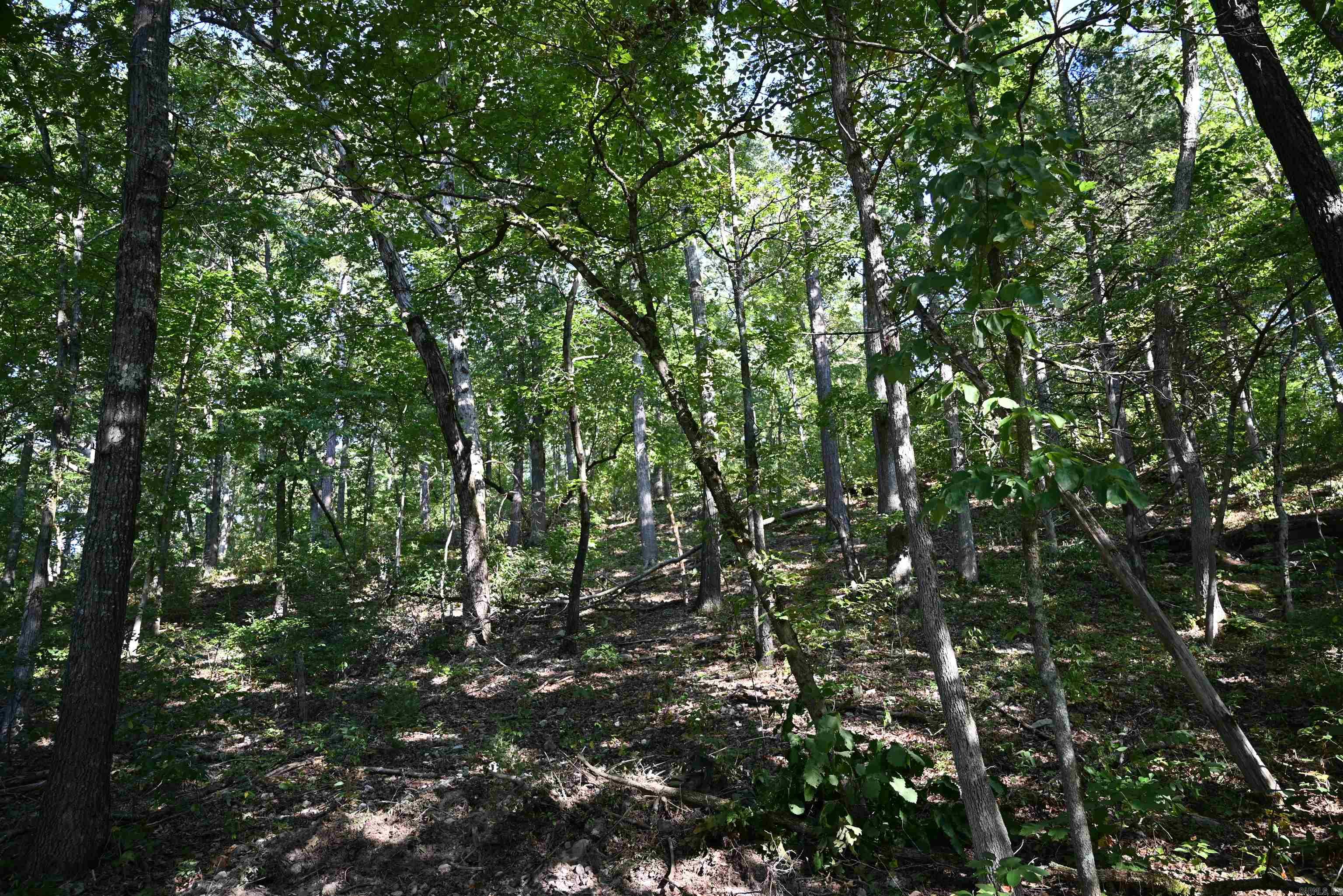 3875 Tomahawk Slab Road