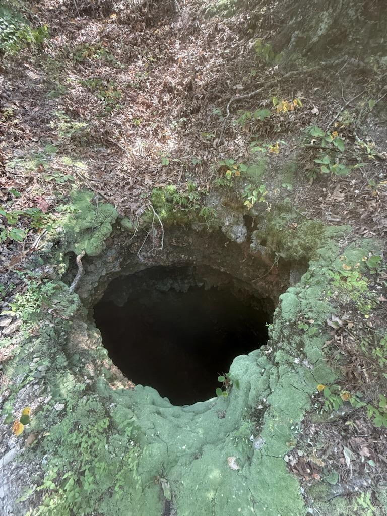 3875 Tomahawk Slab Road