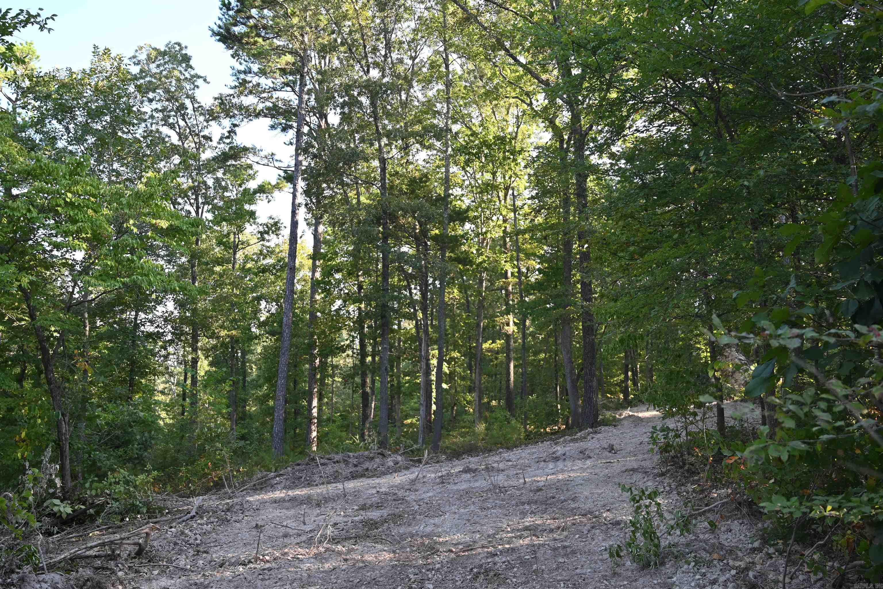 3875 Tomahawk Slab Road