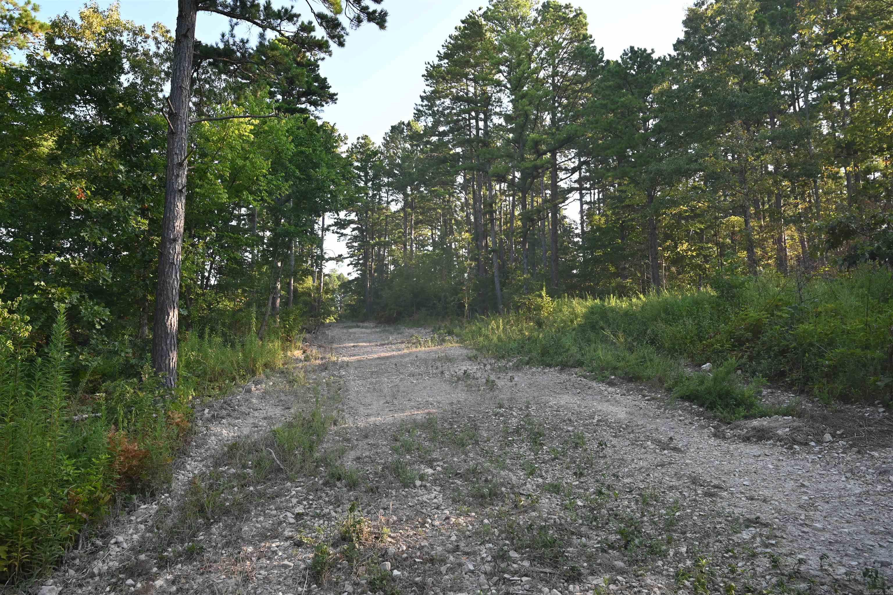 3875 Tomahawk Slab Road