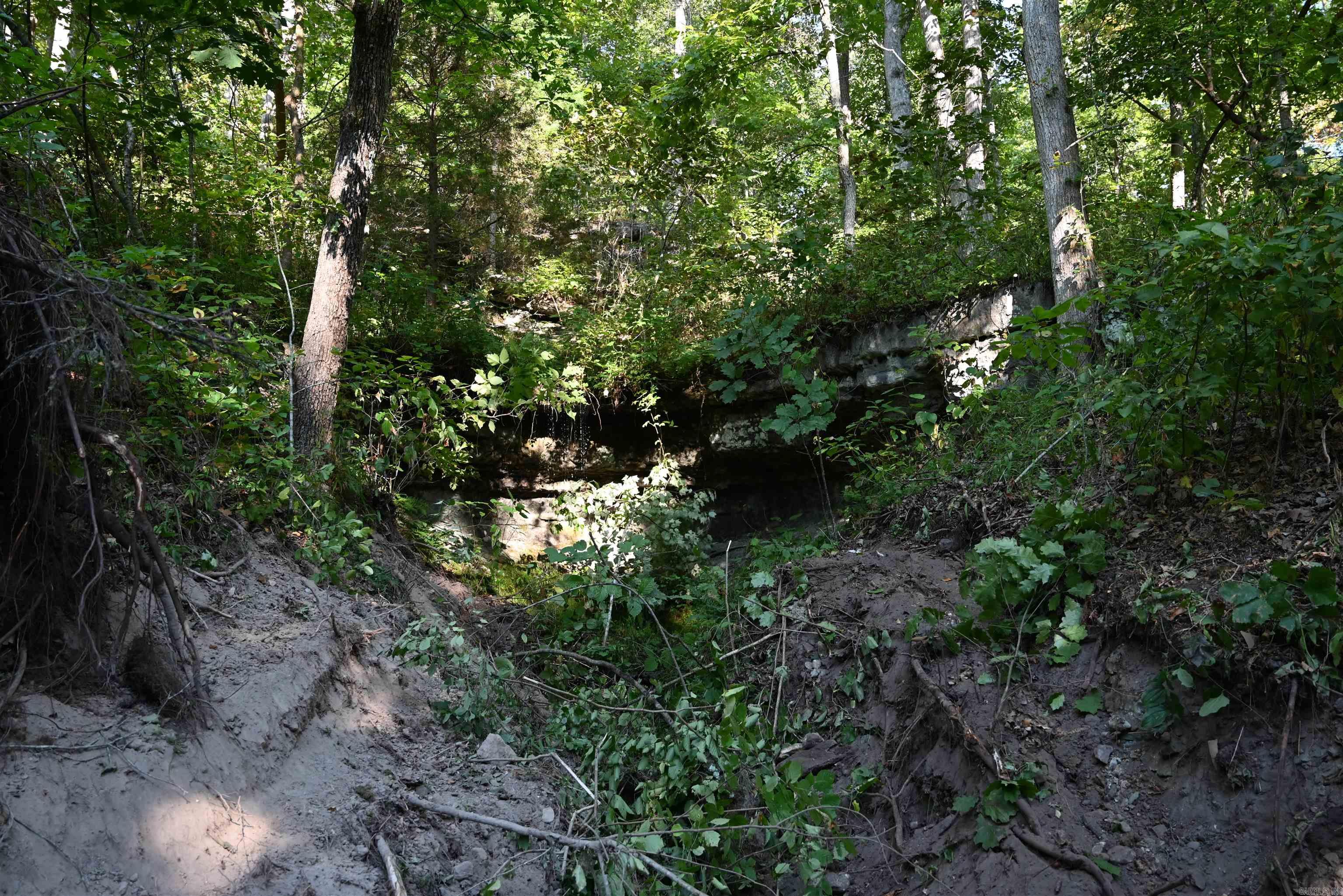 3875 Tomahawk Slab Road