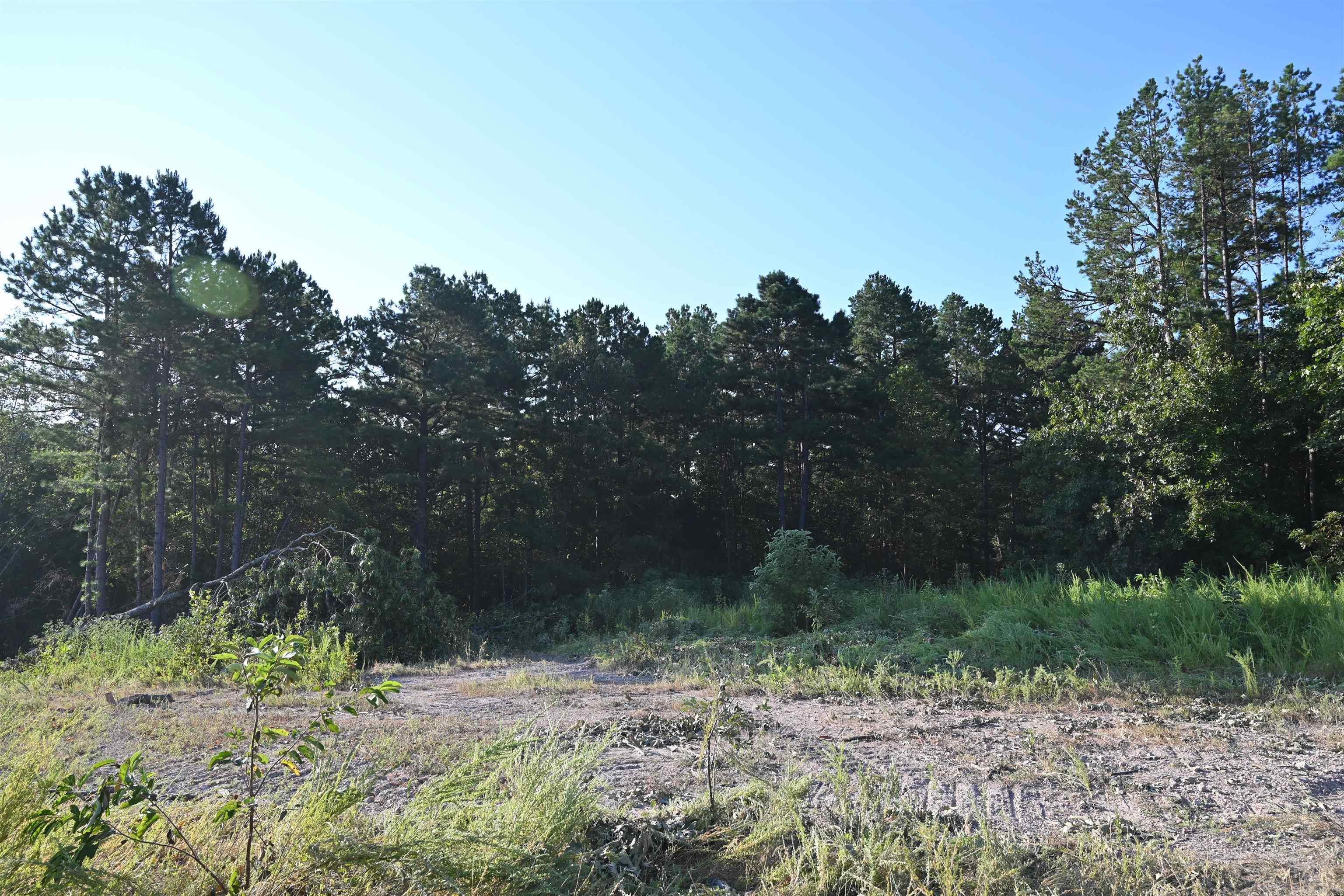 3875 Tomahawk Slab Road