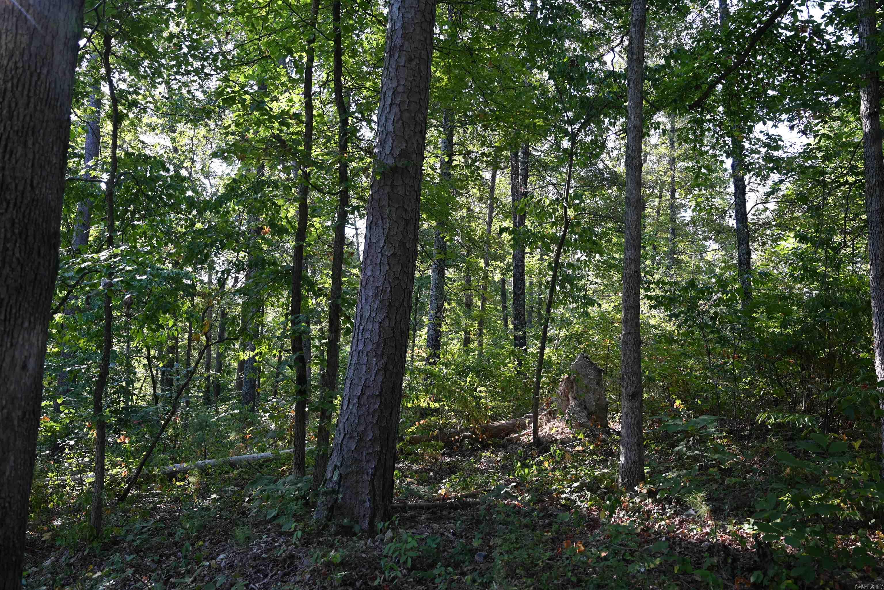 3875 Tomahawk Slab Road