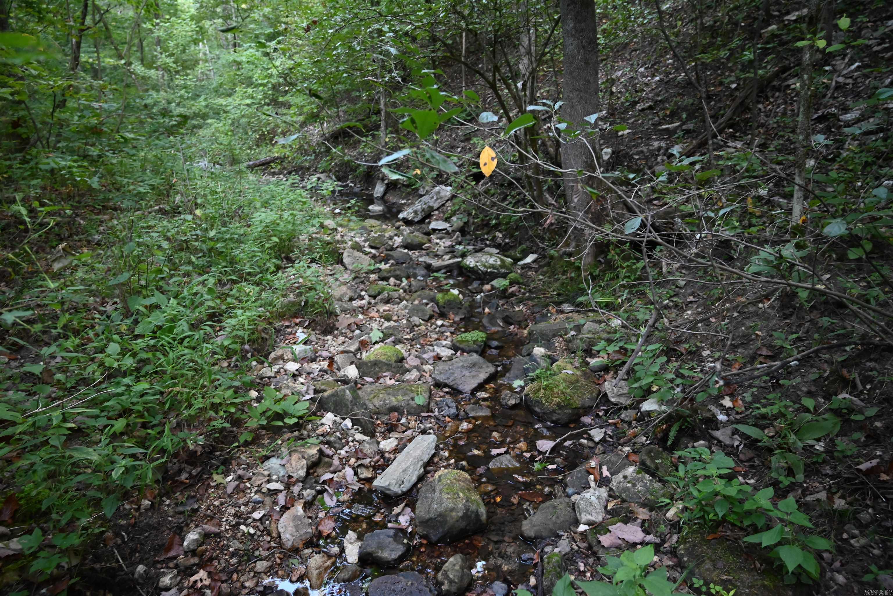 3875 Tomahawk Slab Road