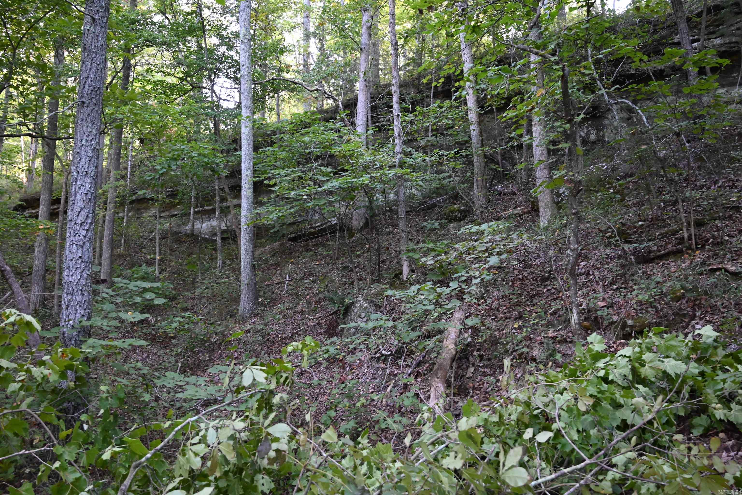 3875 Tomahawk Slab Road