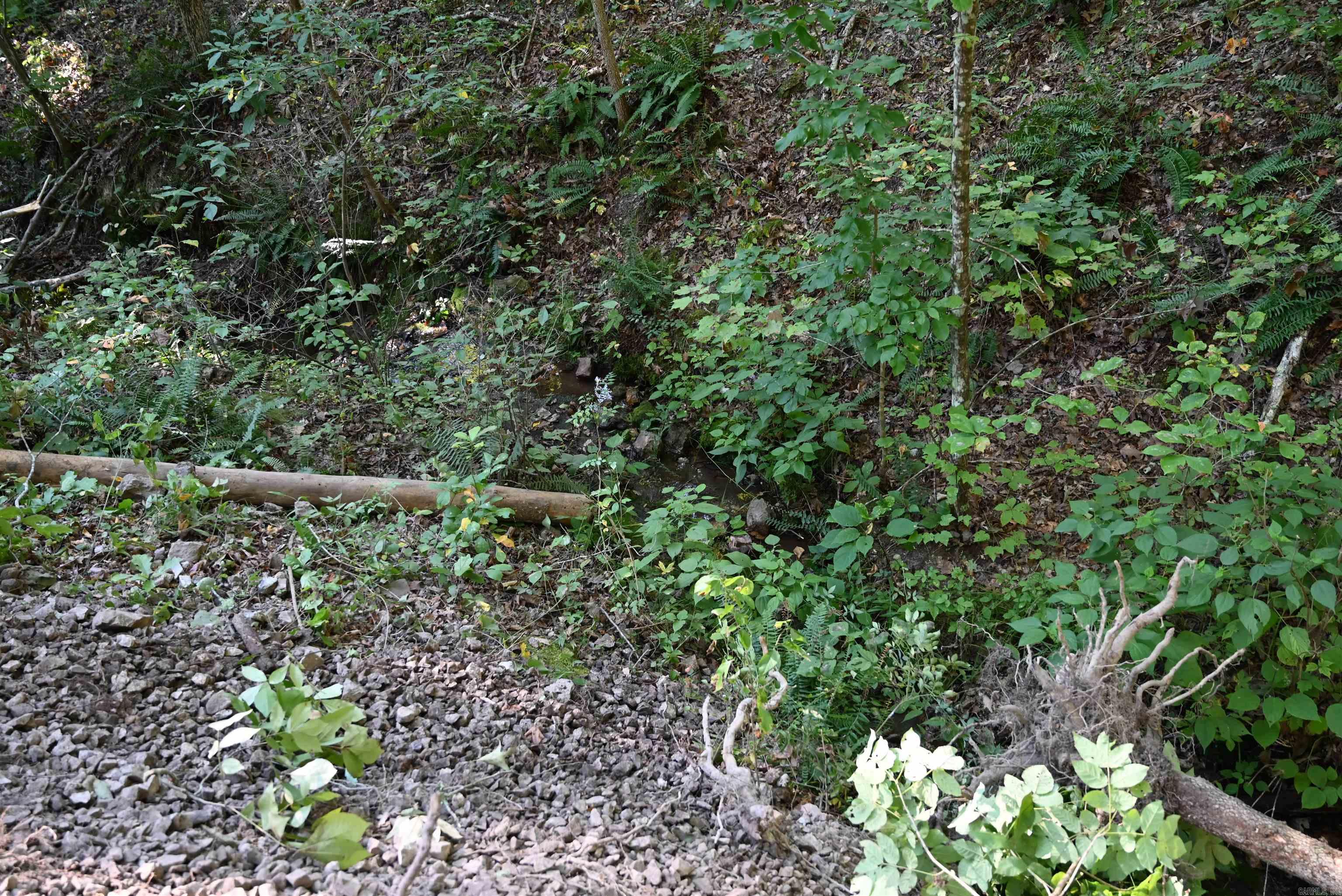 3875 Tomahawk Slab Road