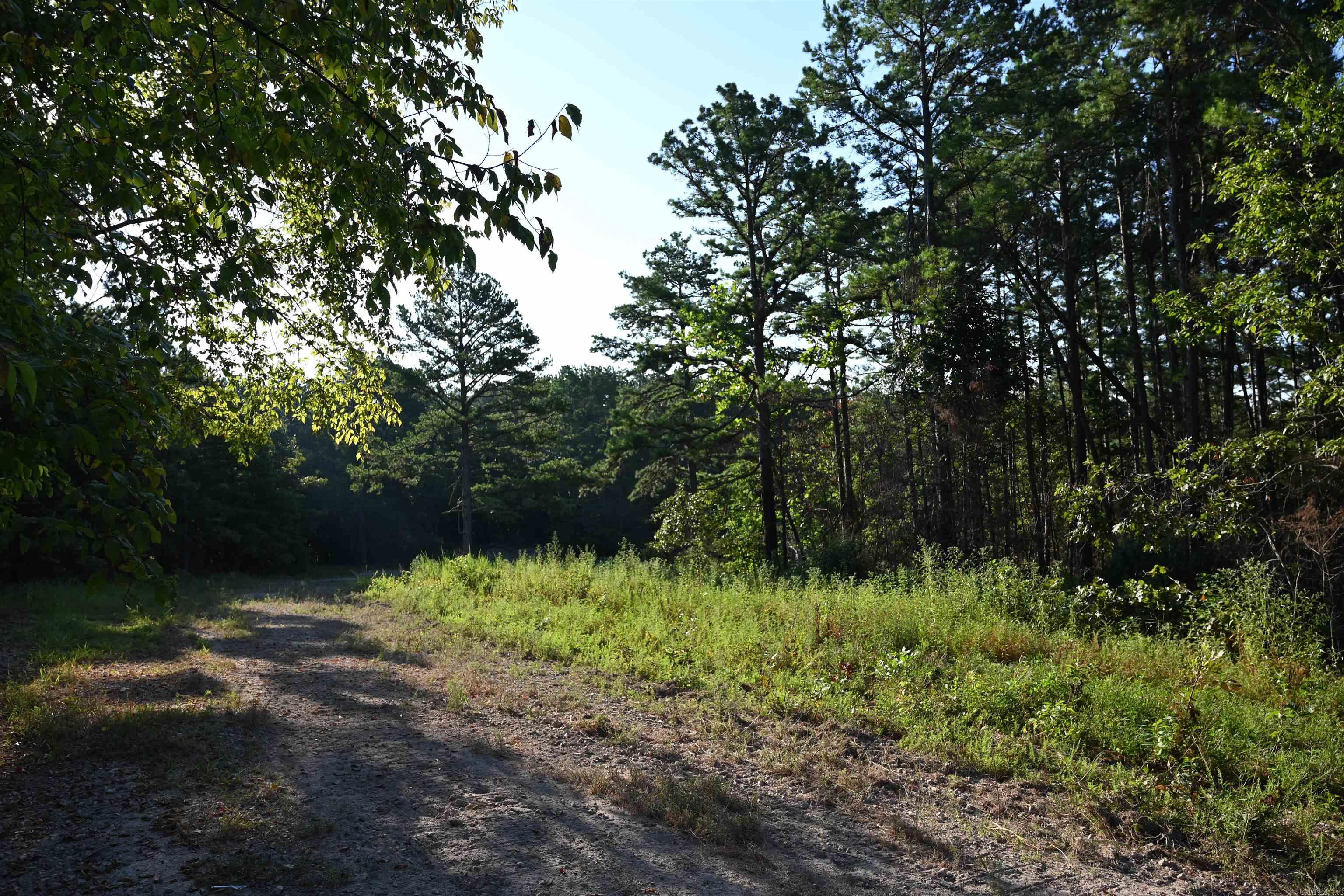 3875 Tomahawk Slab Road