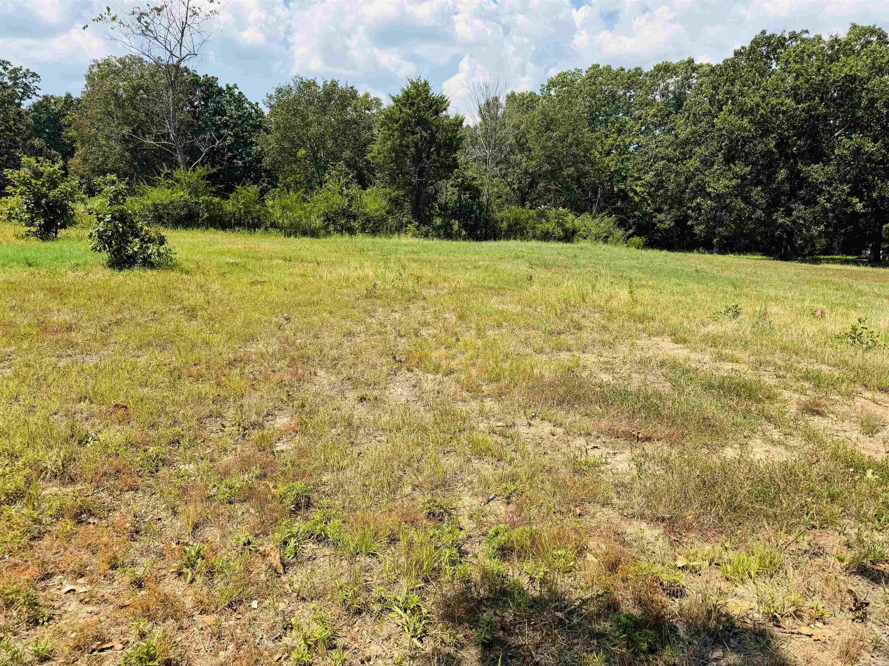 221 E Justice Road