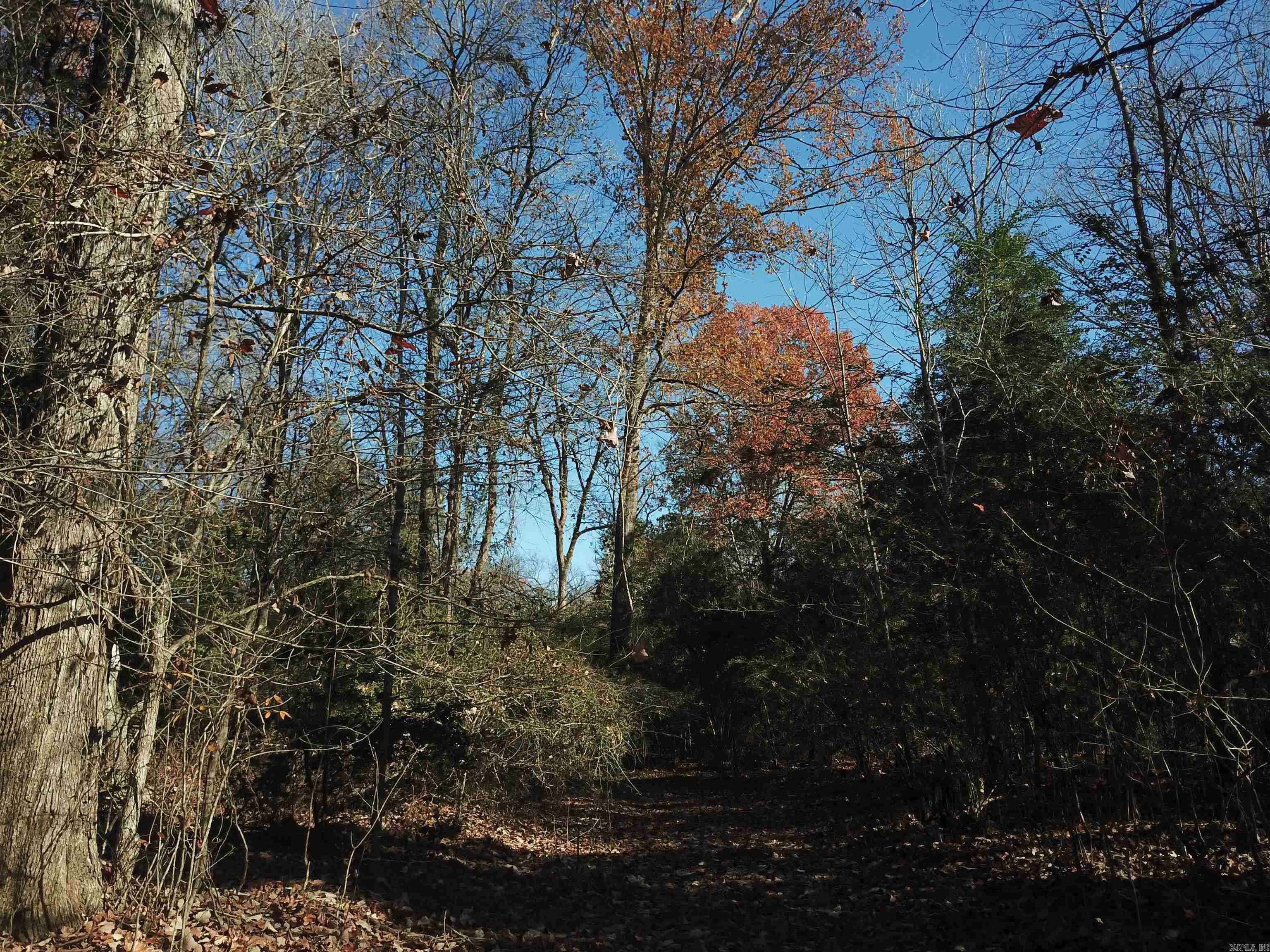 0000 White Oak Drive