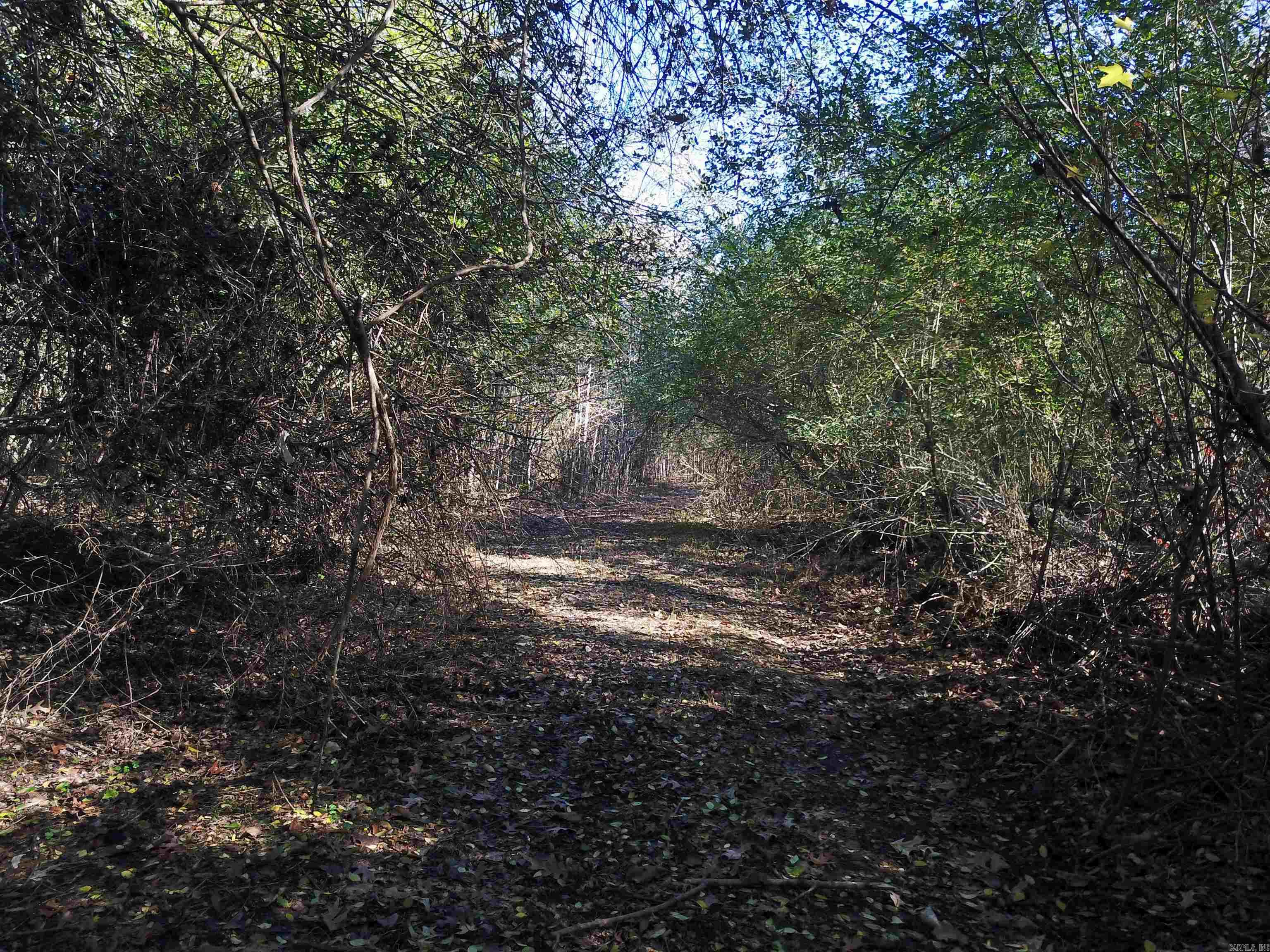 0000 White Oak Drive