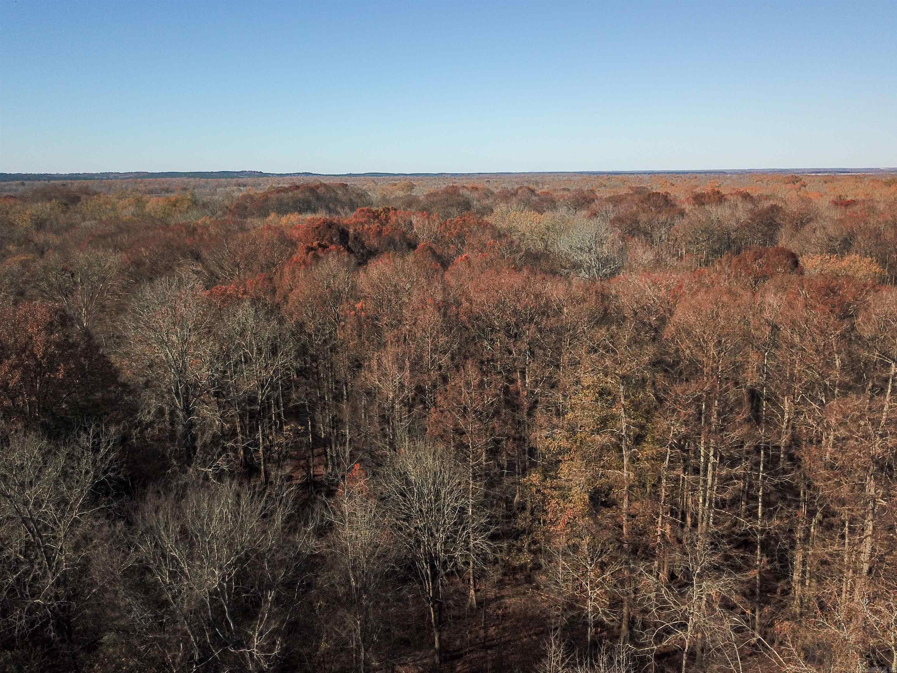 0000 White Oak Drive