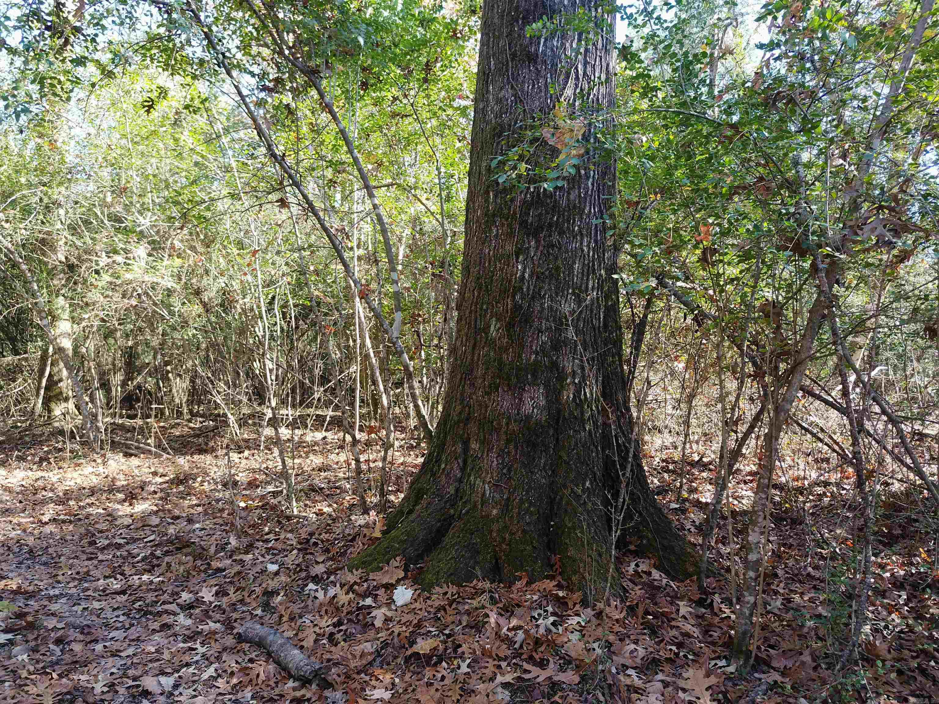 000 White Oak Slough Road