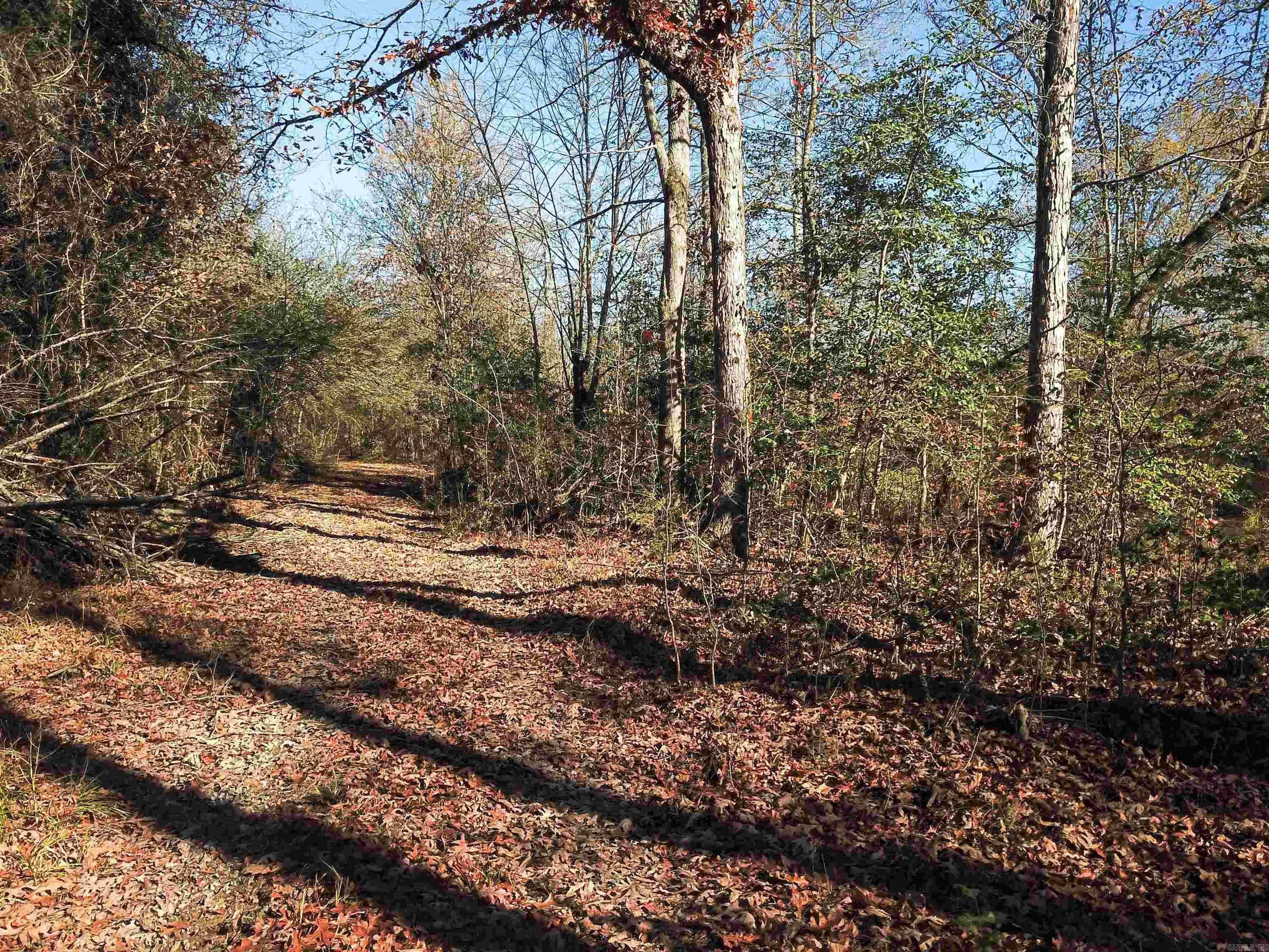 000 White Oak Slough Road