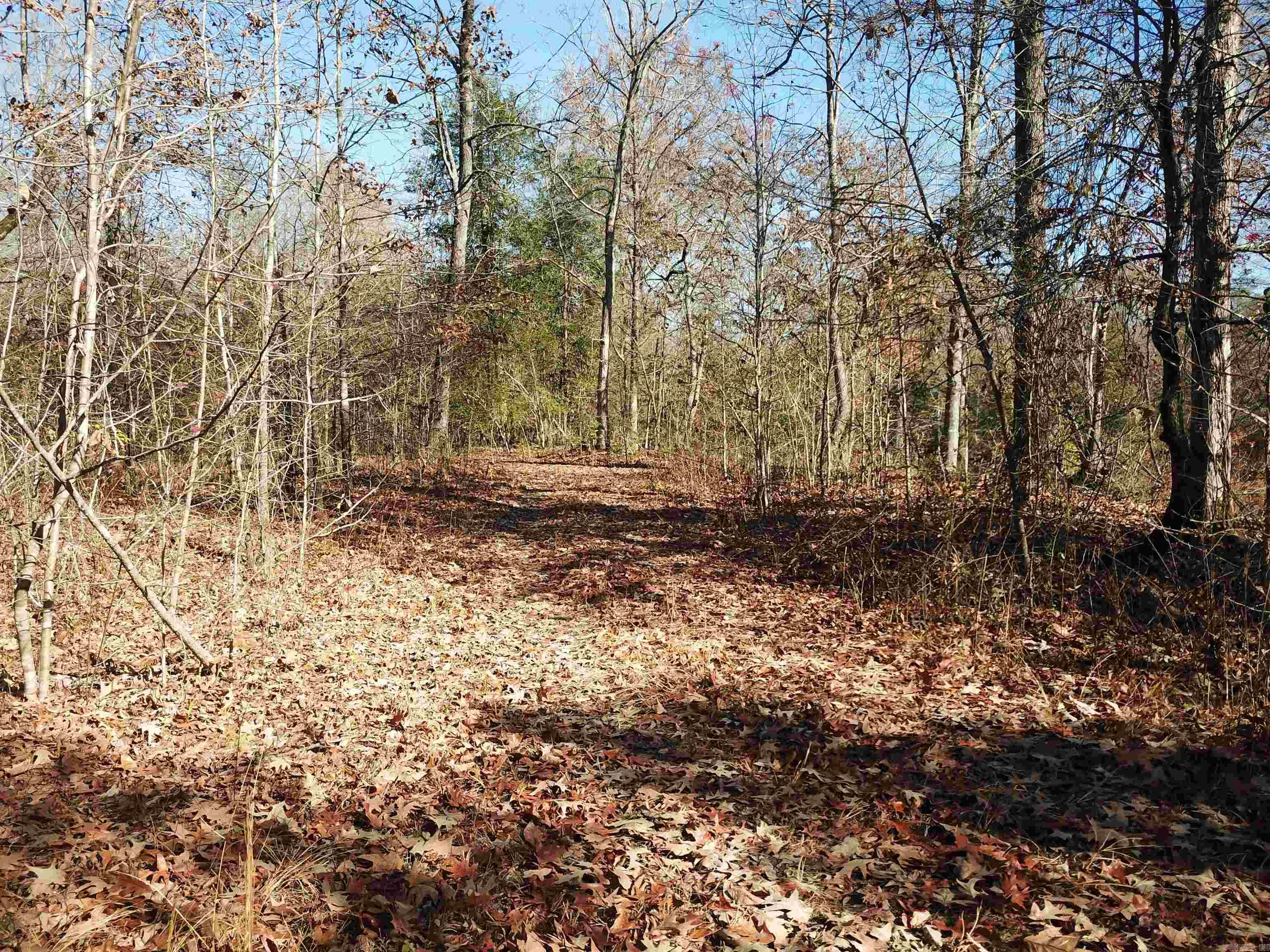 000 White Oak Slough Road