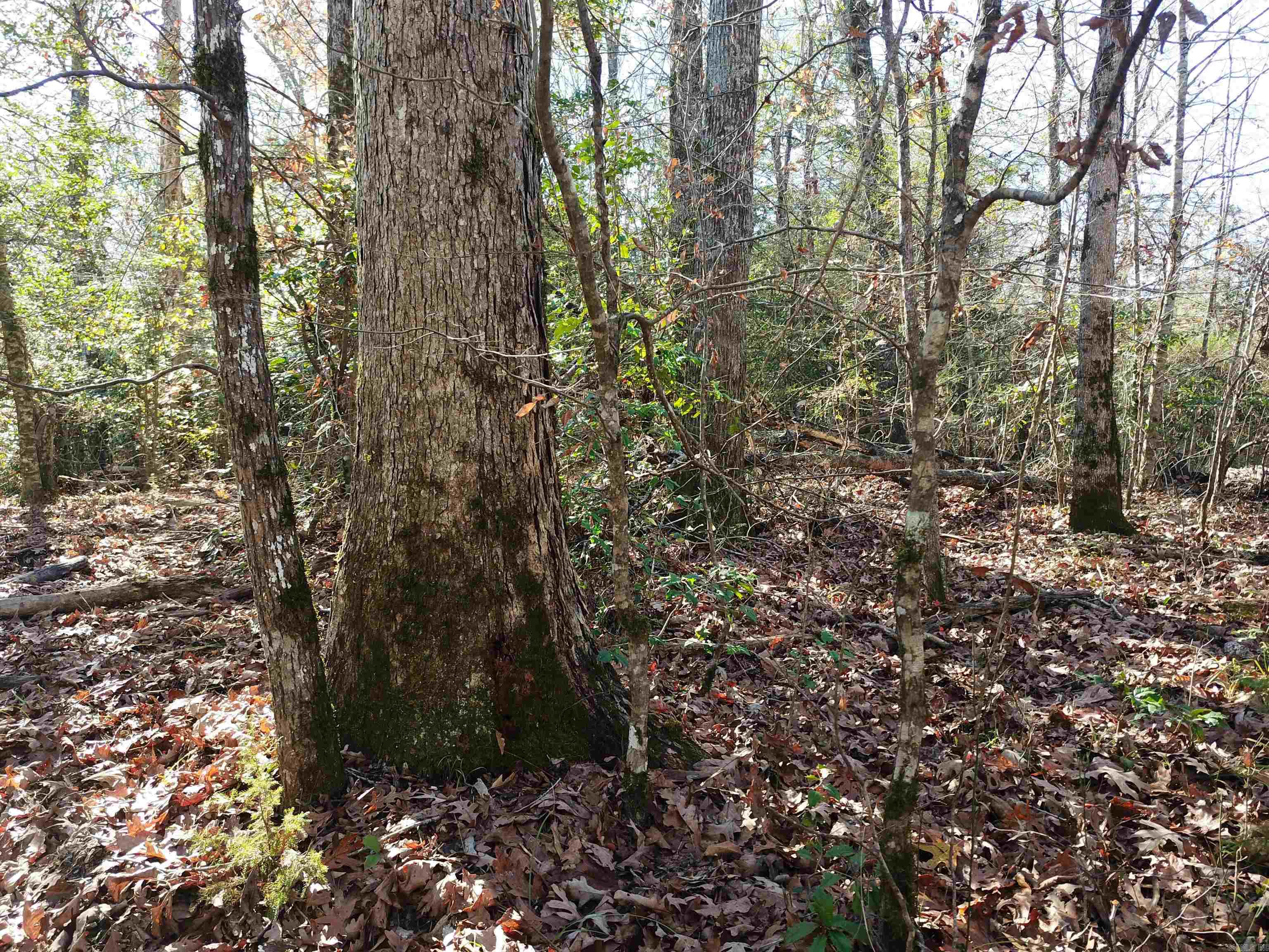 000 White Oak Slough Road