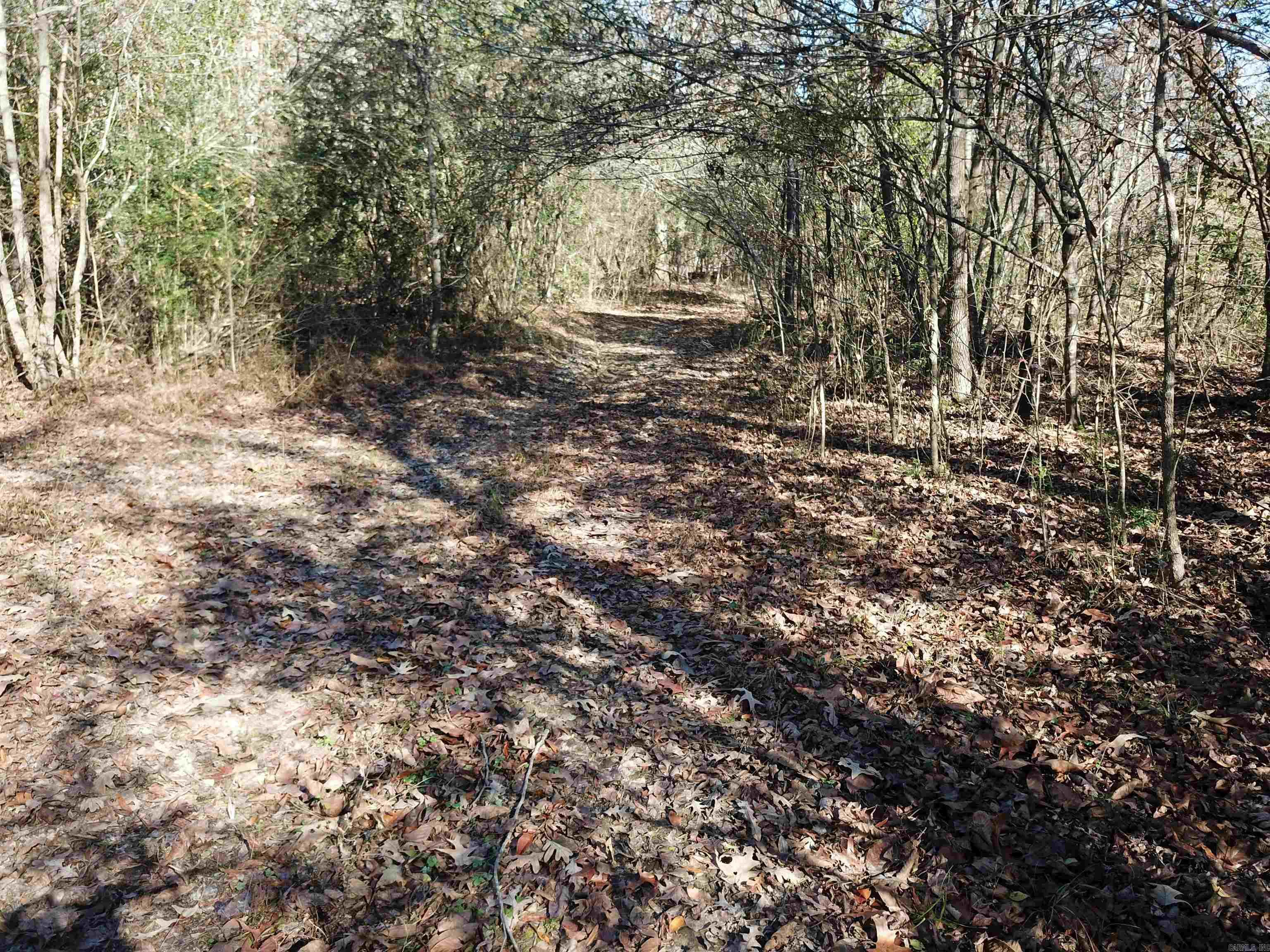 000 White Oak Slough Road