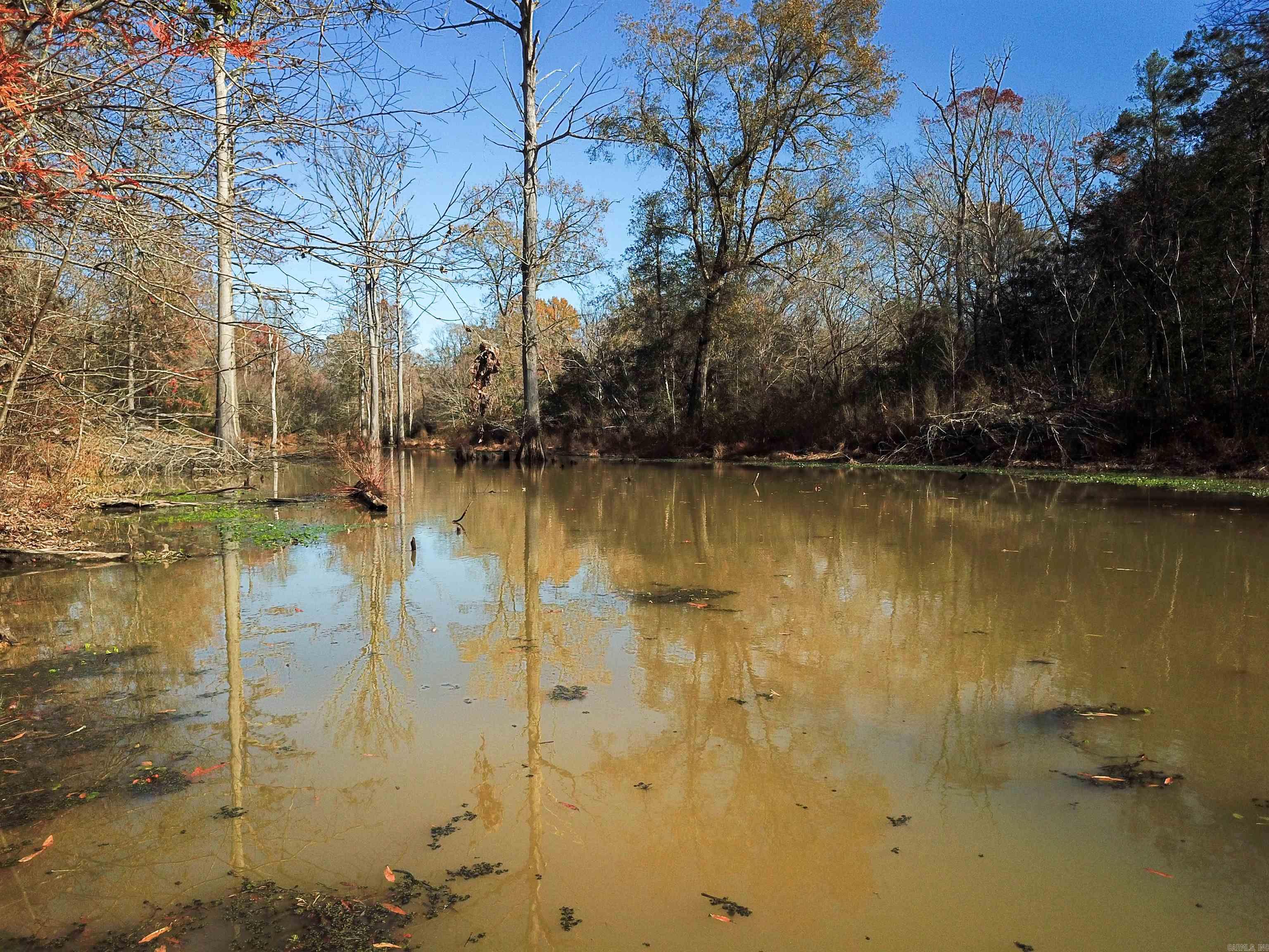 000 White Oak Slough Road