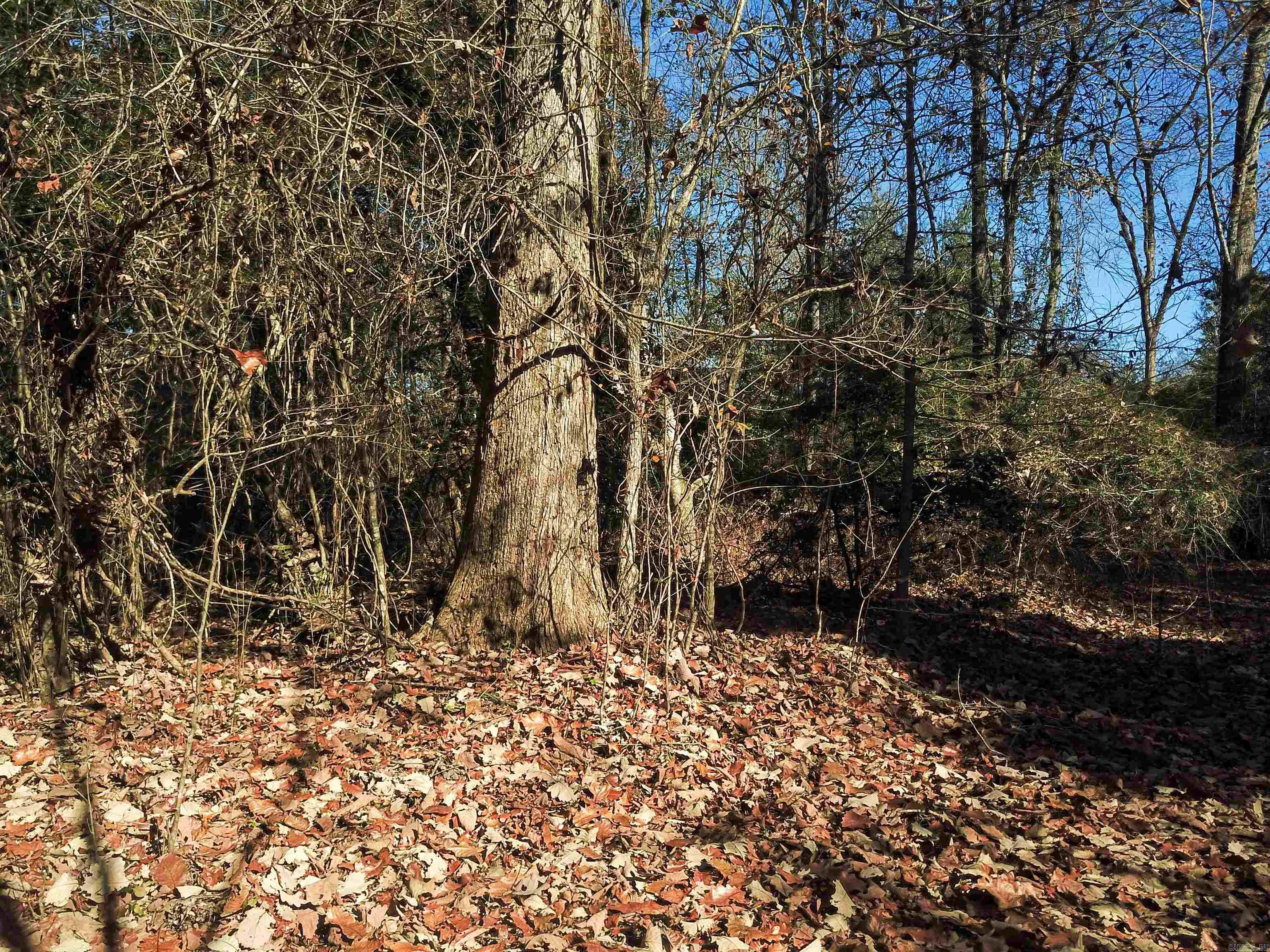 000 White Oak Slough Road