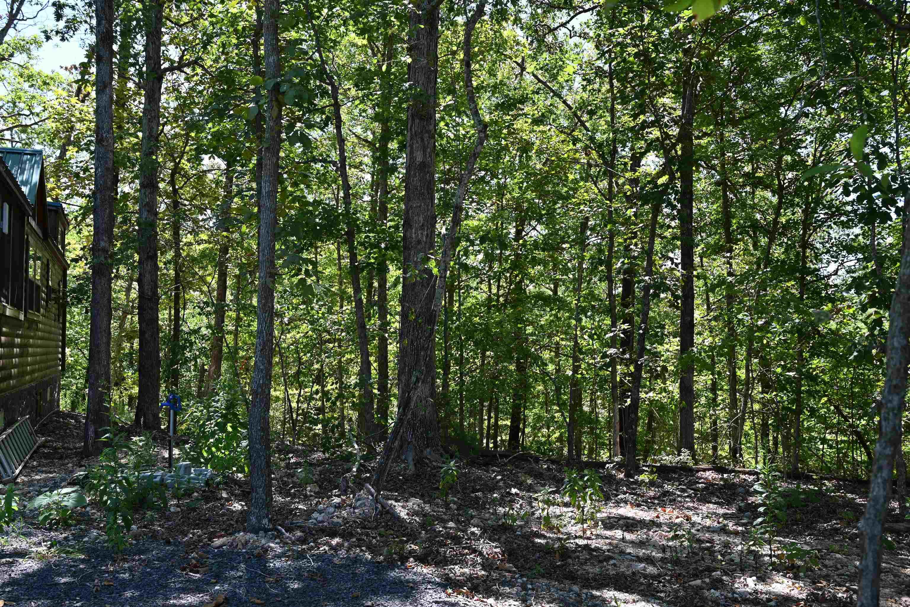 256 Fallen Tree Road