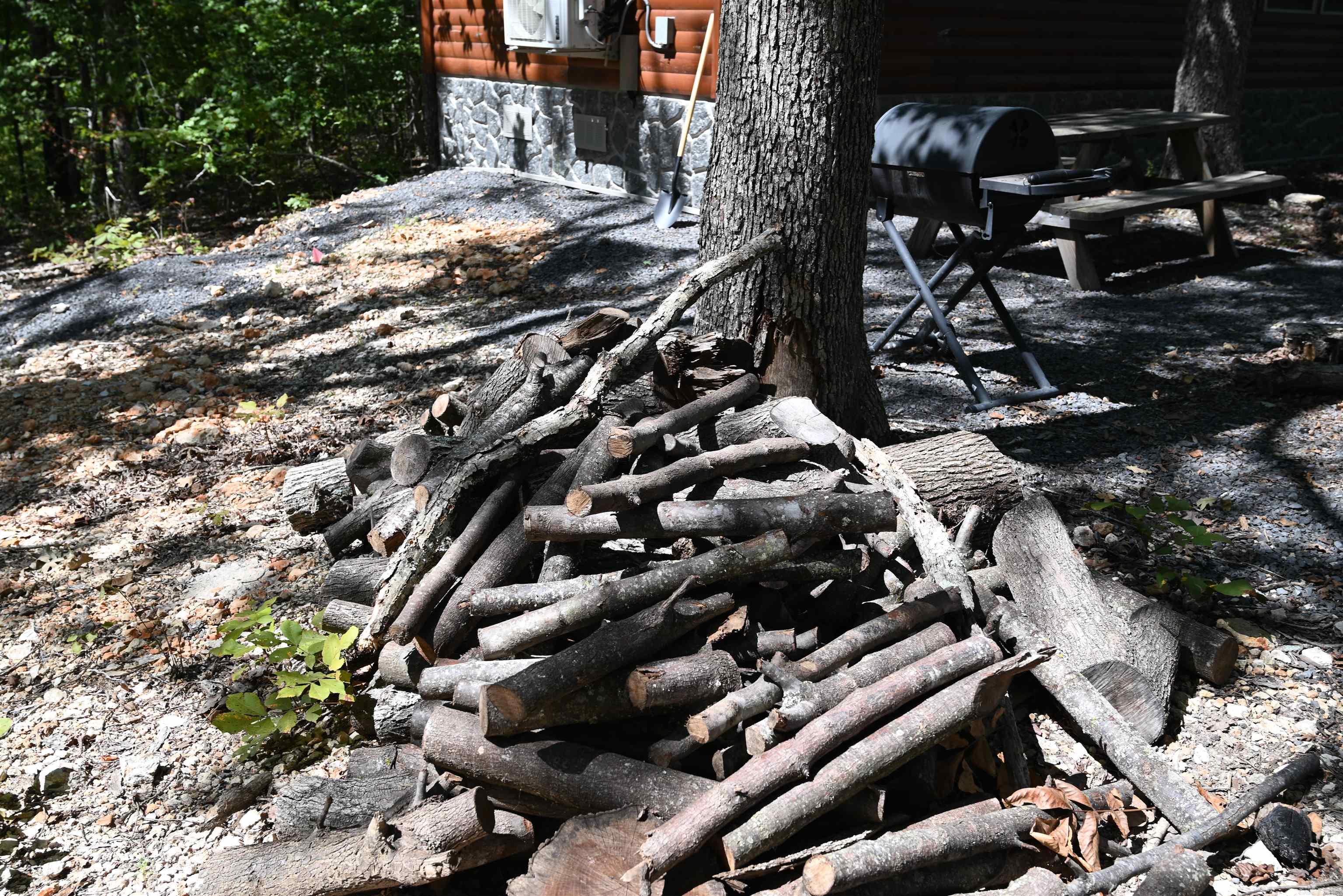 256 Fallen Tree Road