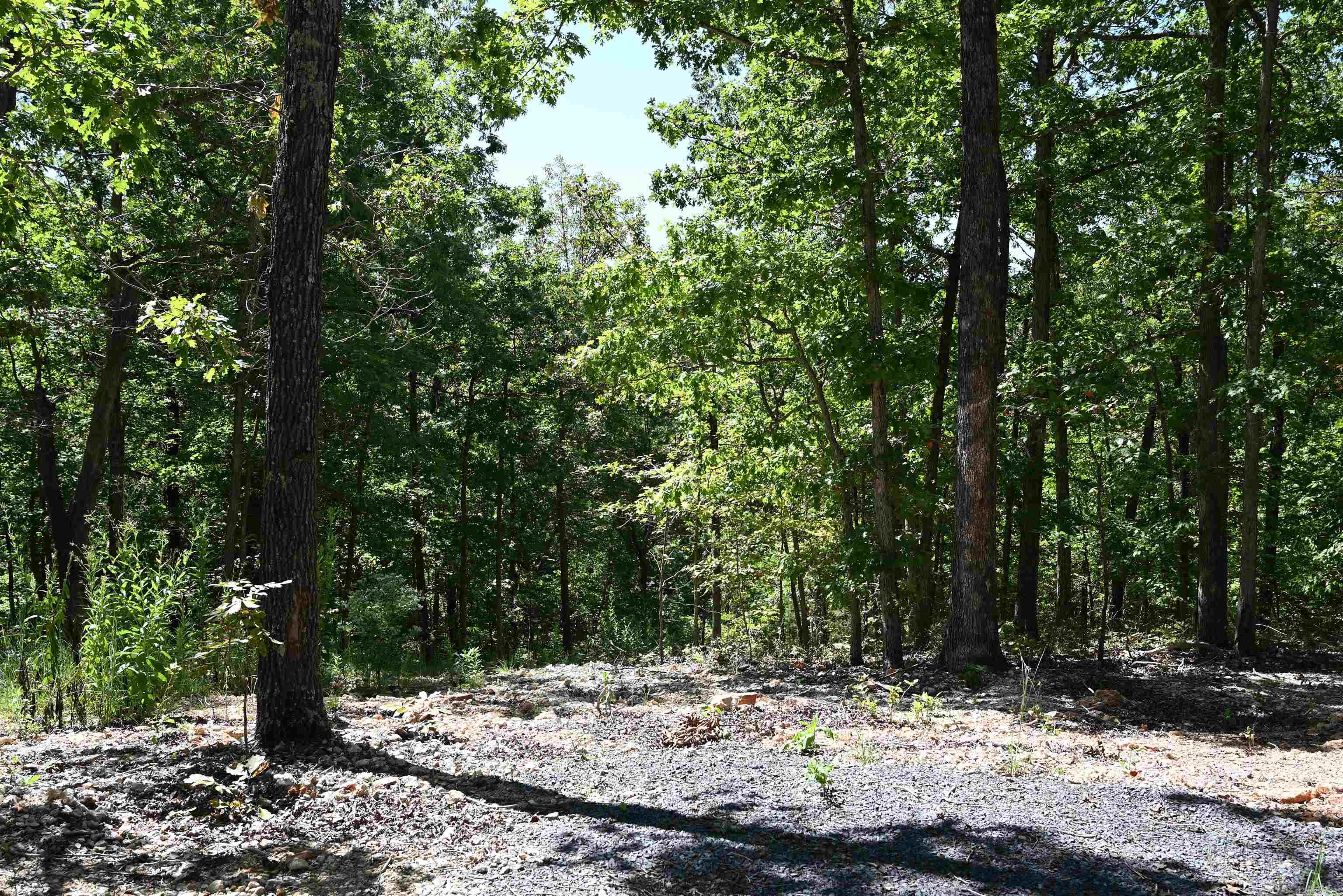 256 Fallen Tree Road