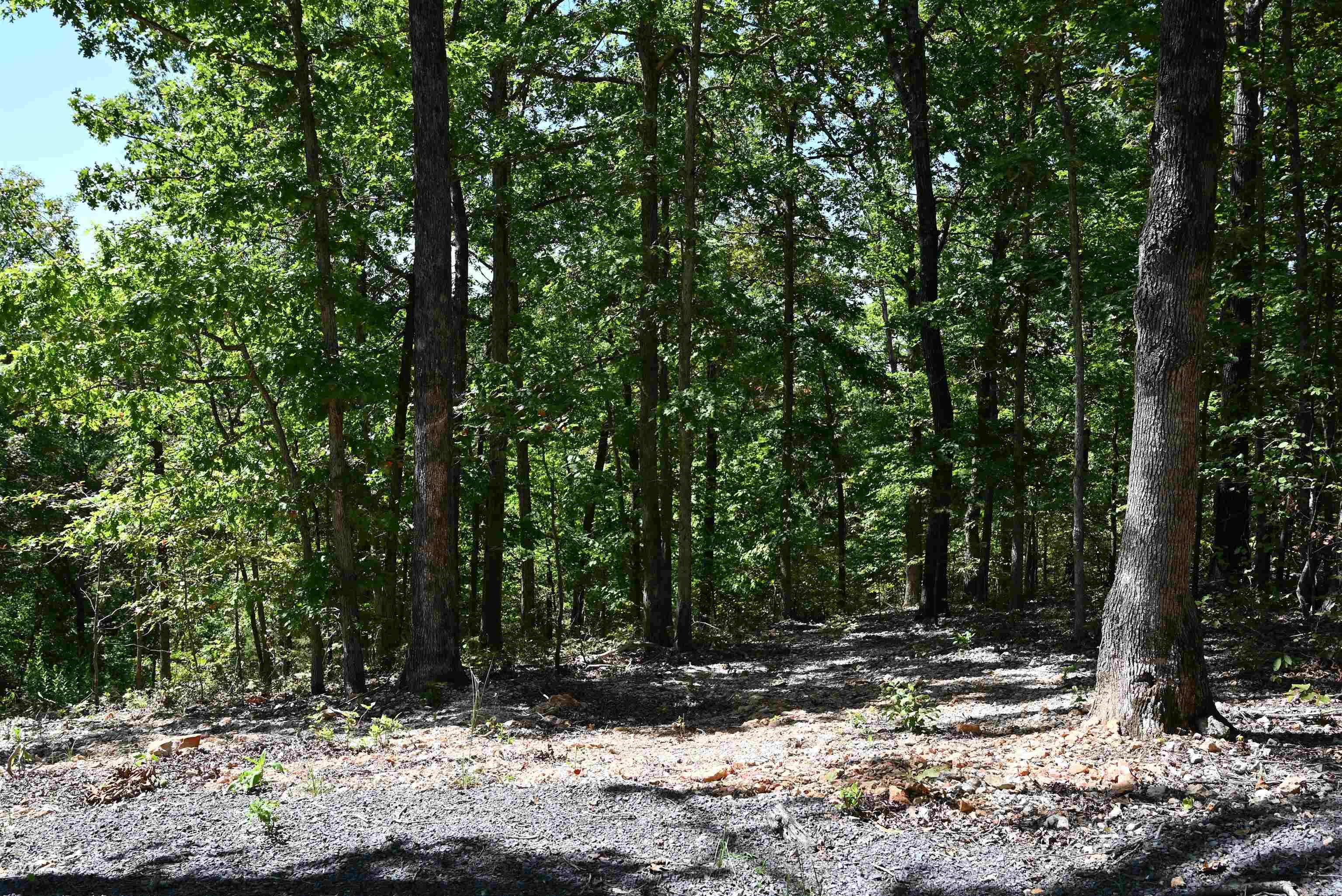 256 Fallen Tree Road