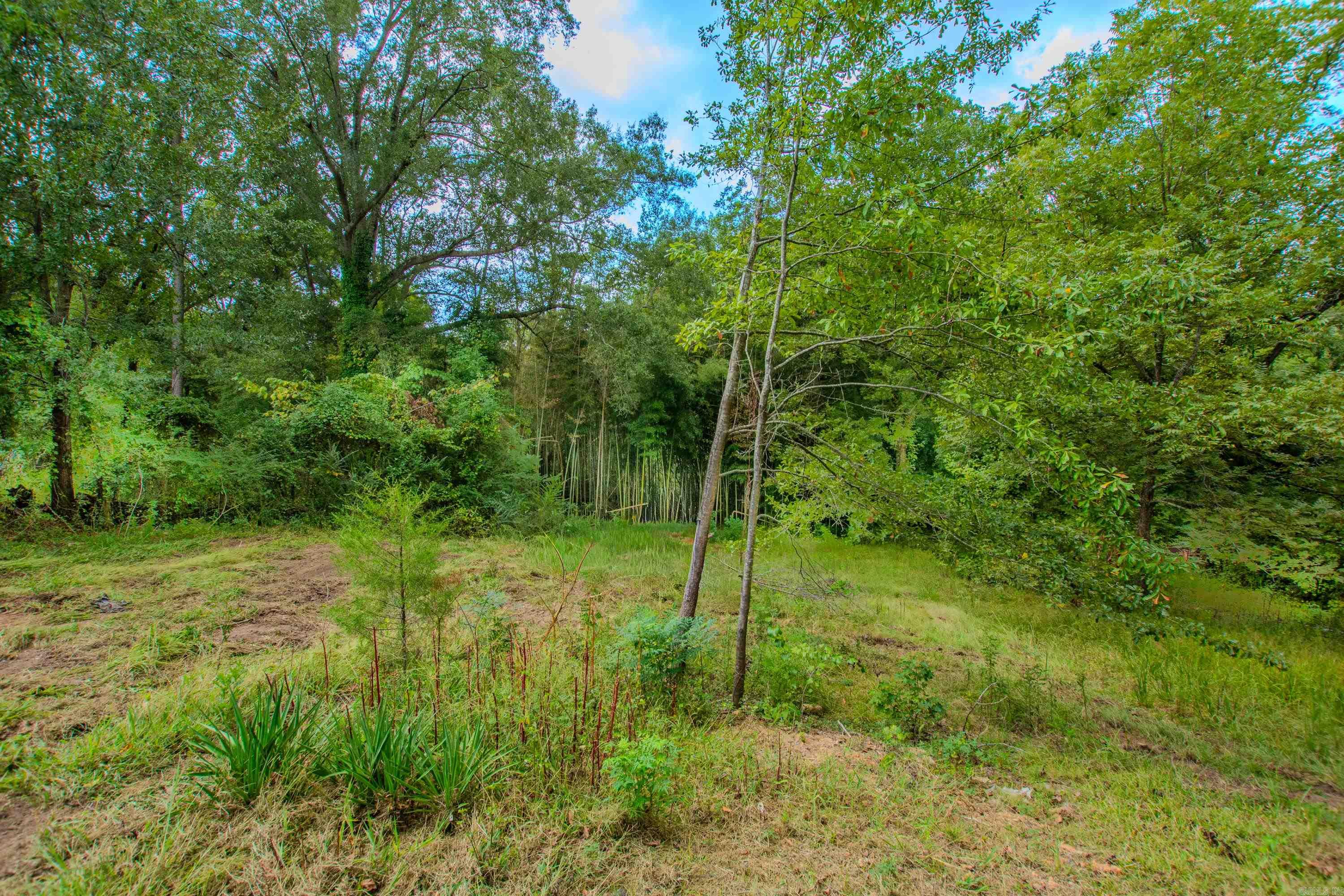 1025 Virginia Avenue