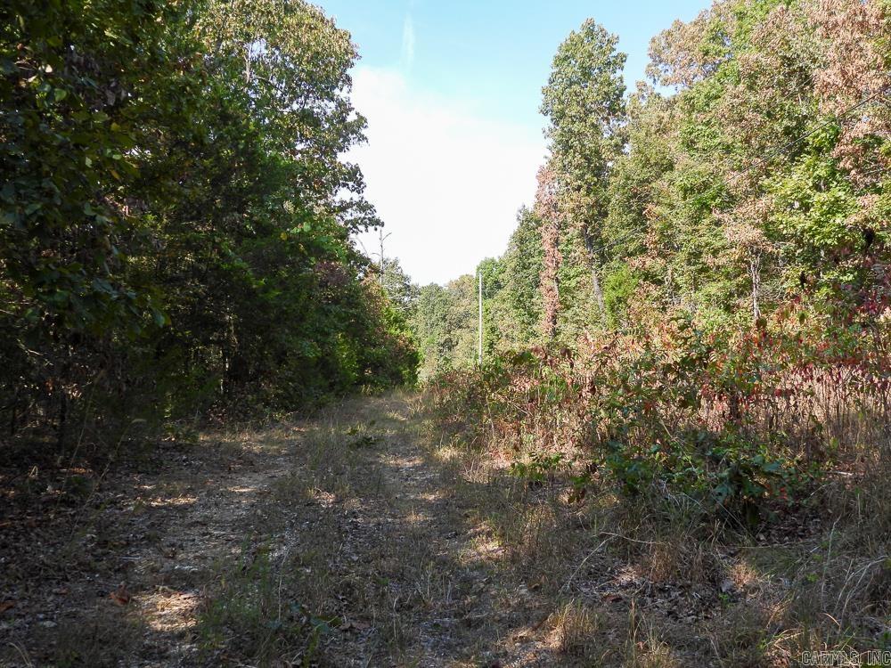 129589 N Highway 63