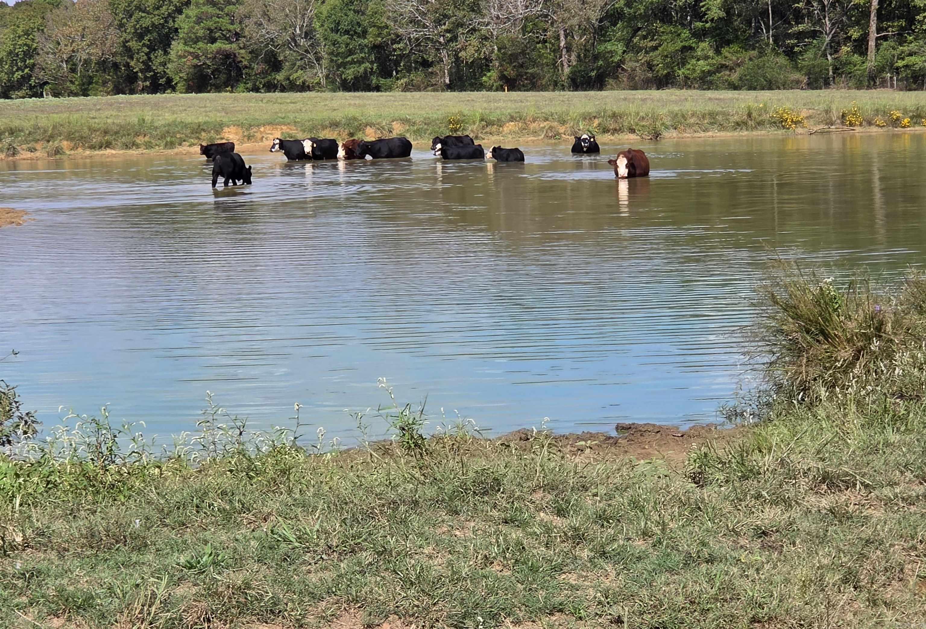 27.24 acres off Durham Road