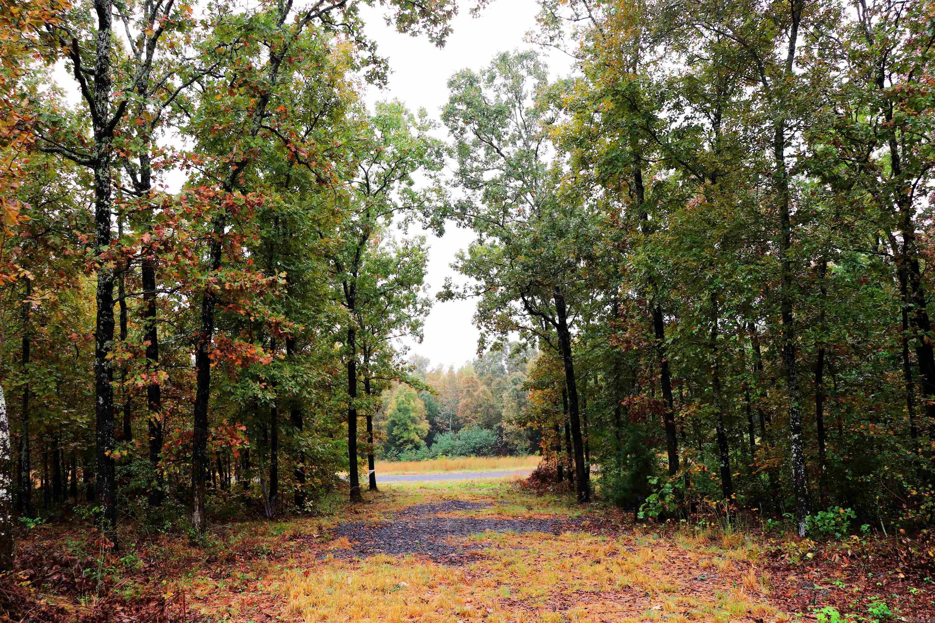 00 Calvary Road