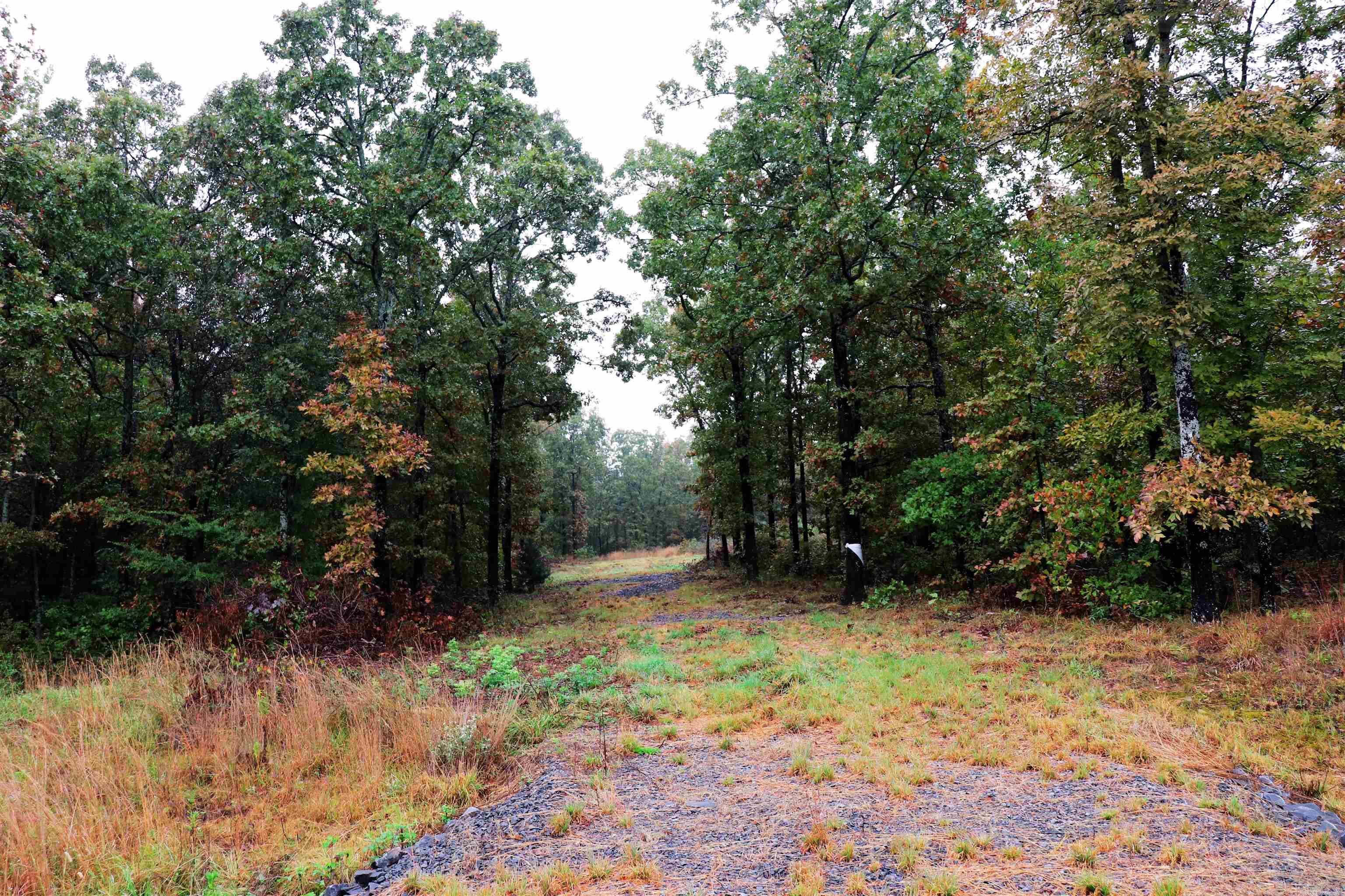 00 Calvary Road