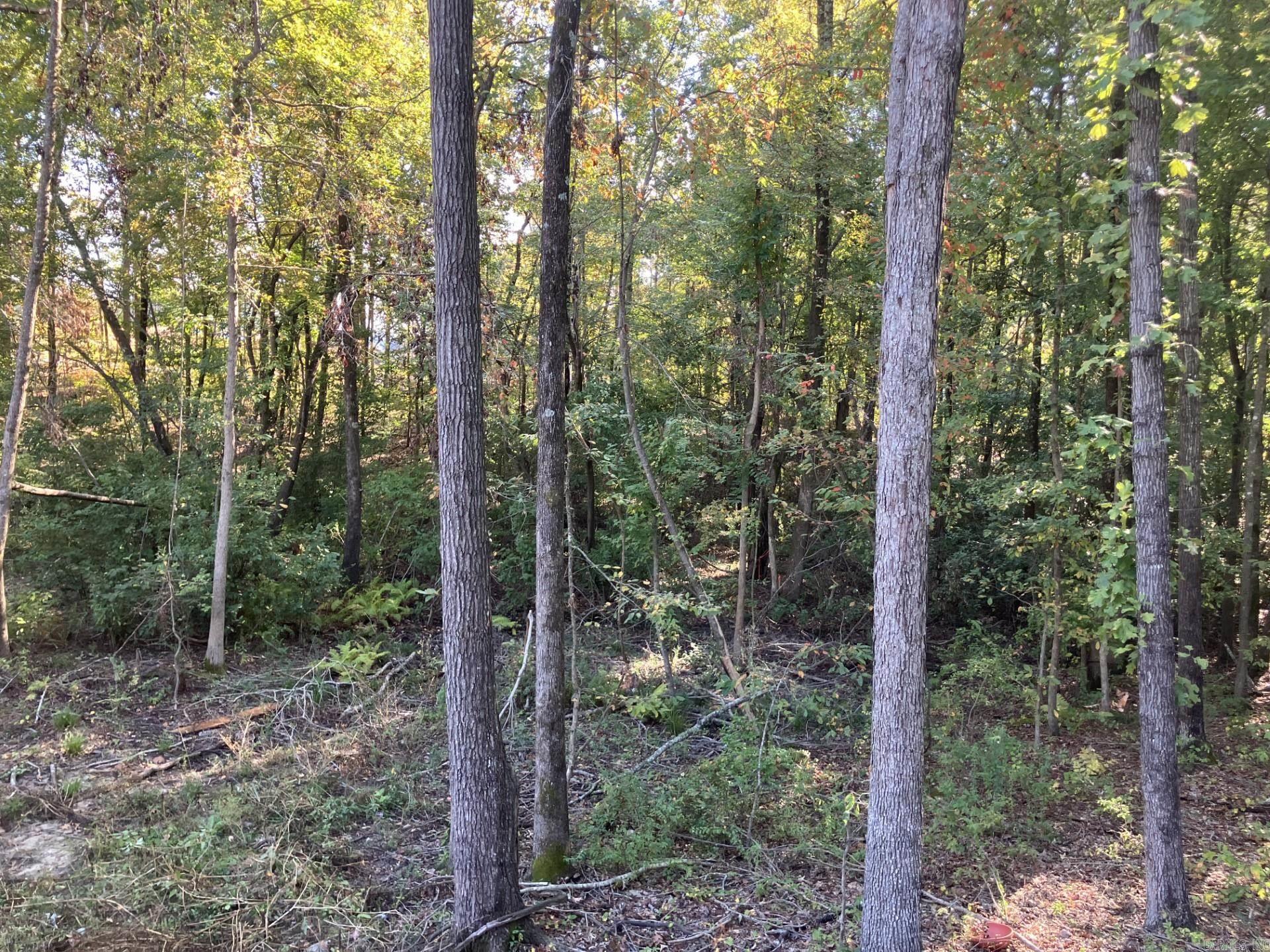 2409 Oakbrook Drive