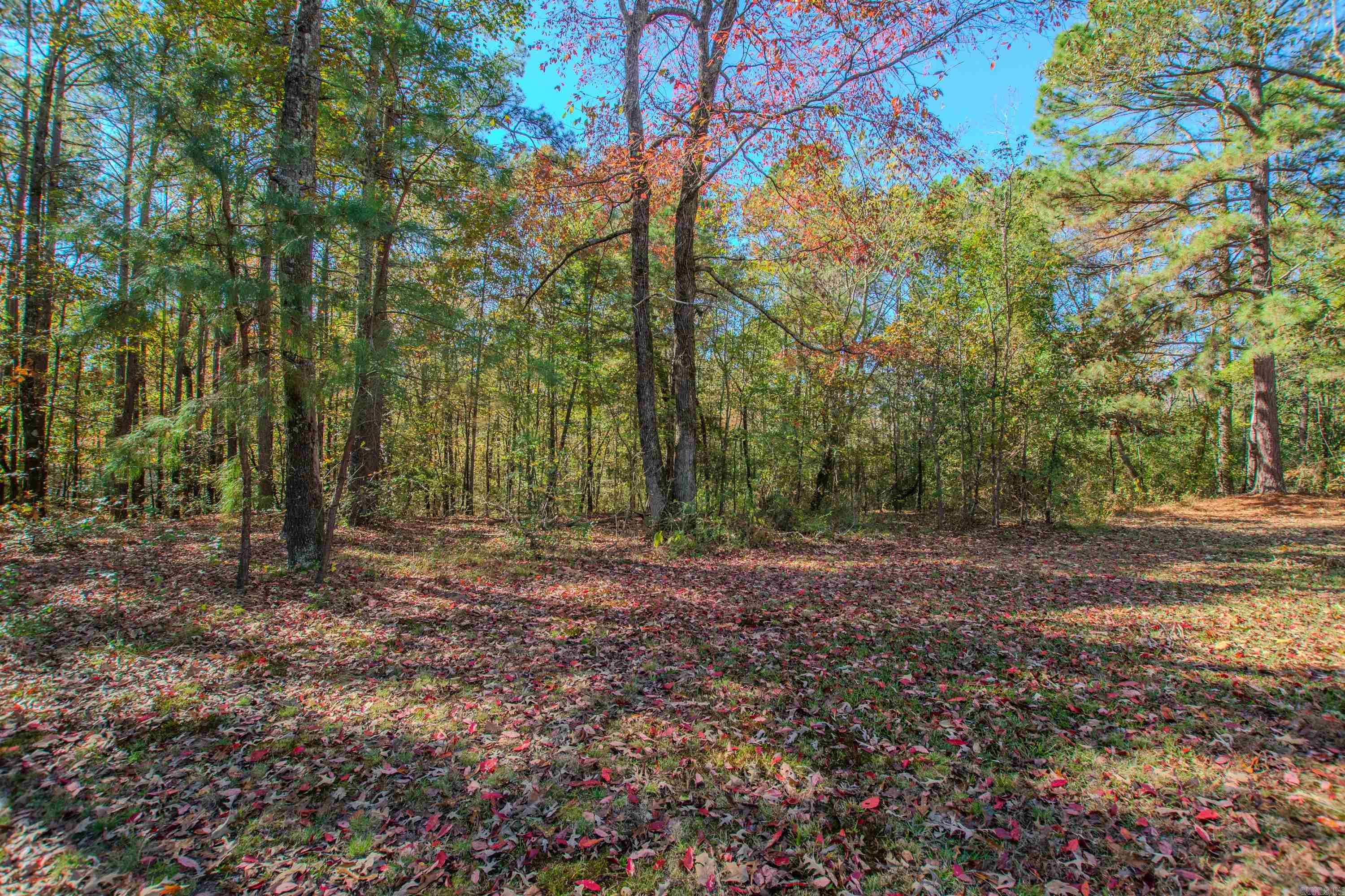 6921 Shady Acres Circle