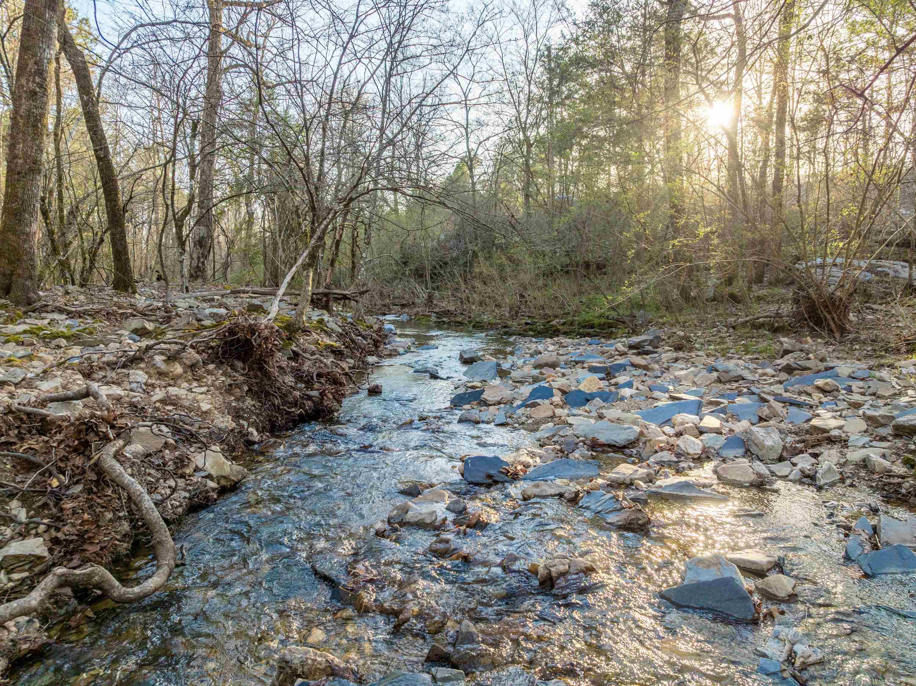 TBD Cedar Creek Road