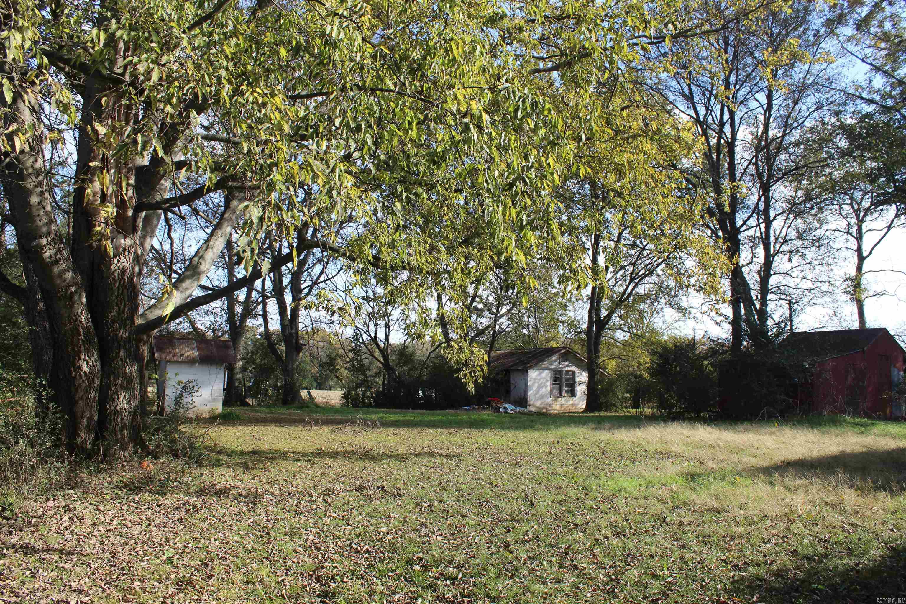 10532 Courtney Ln