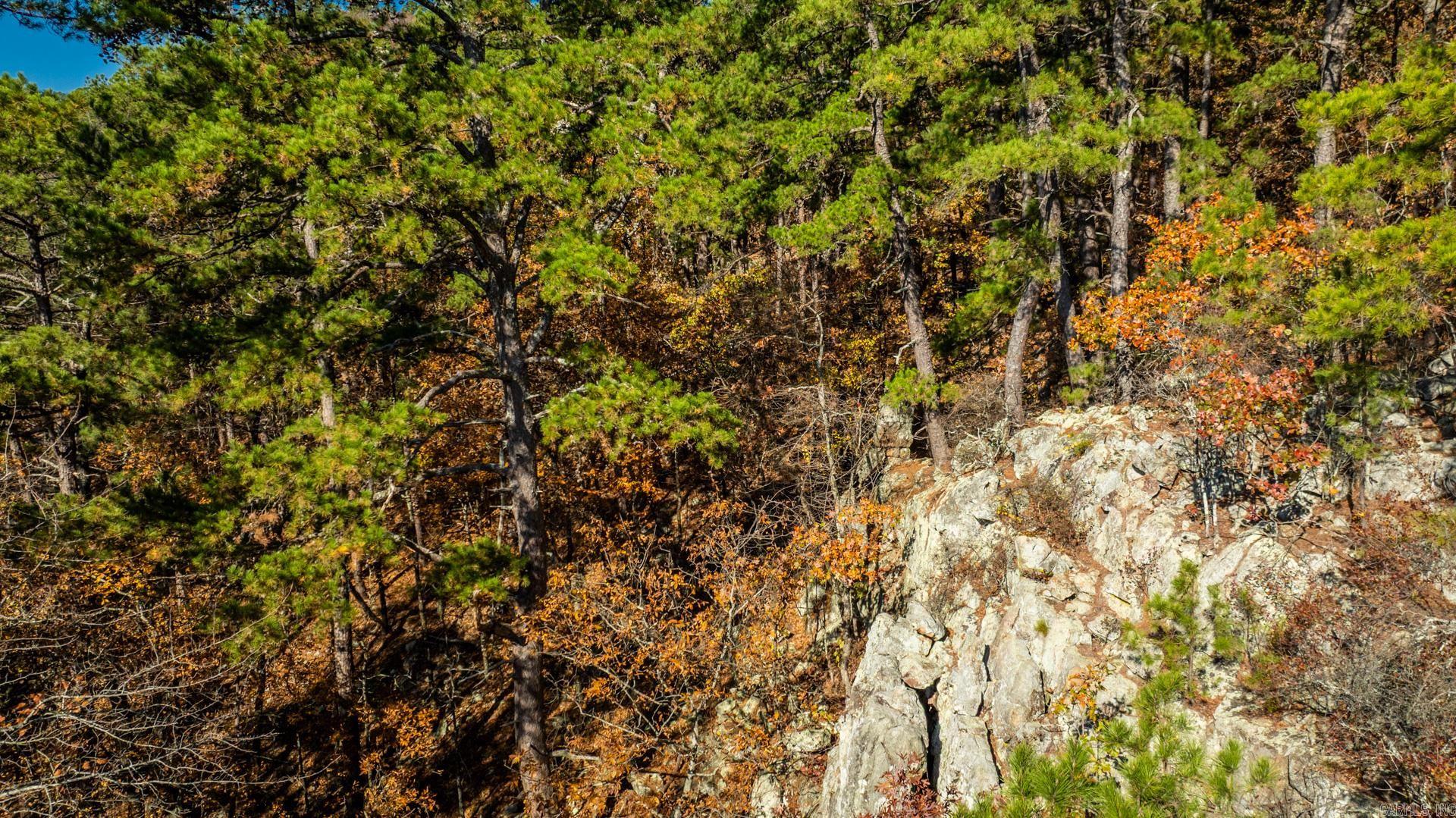 TBD Old Arkansas Drive