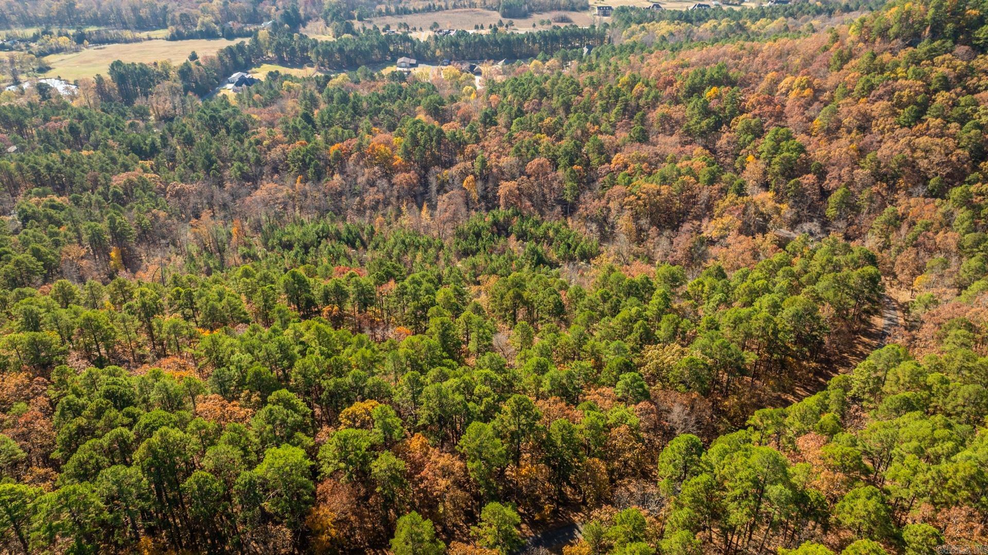 TBD Old Arkansas Drive