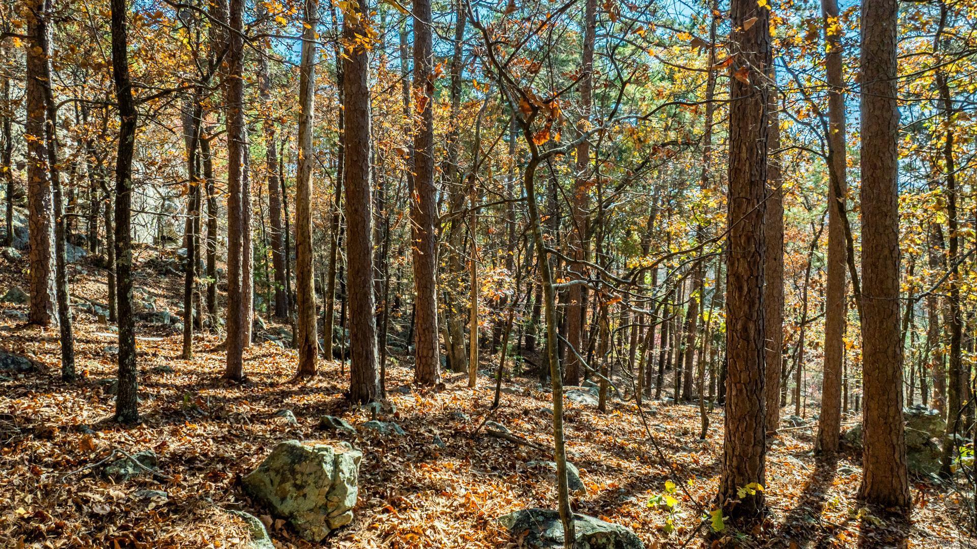 TBD Old Arkansas Drive