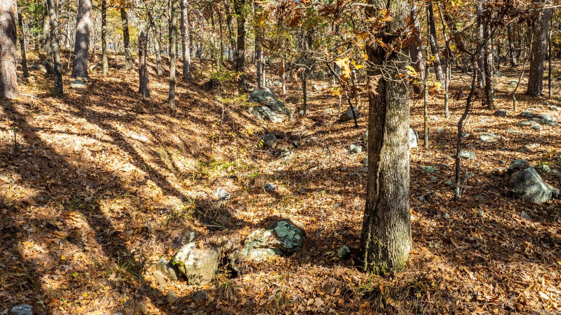 TBD Old Arkansas Drive