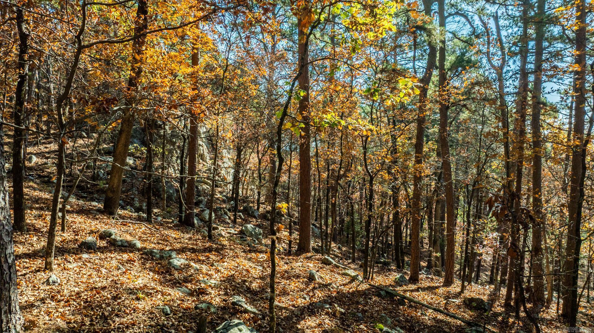 TBD Old Arkansas Drive