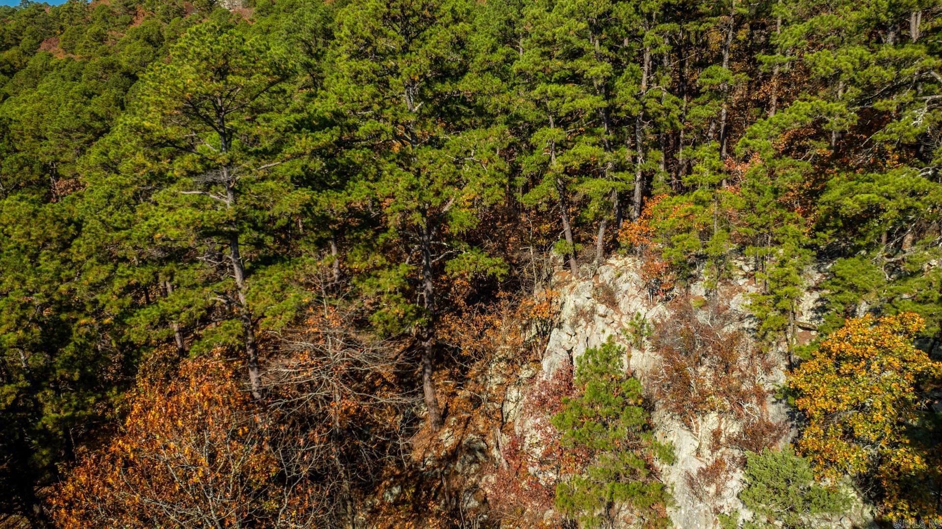 TBD Old Arkansas Drive