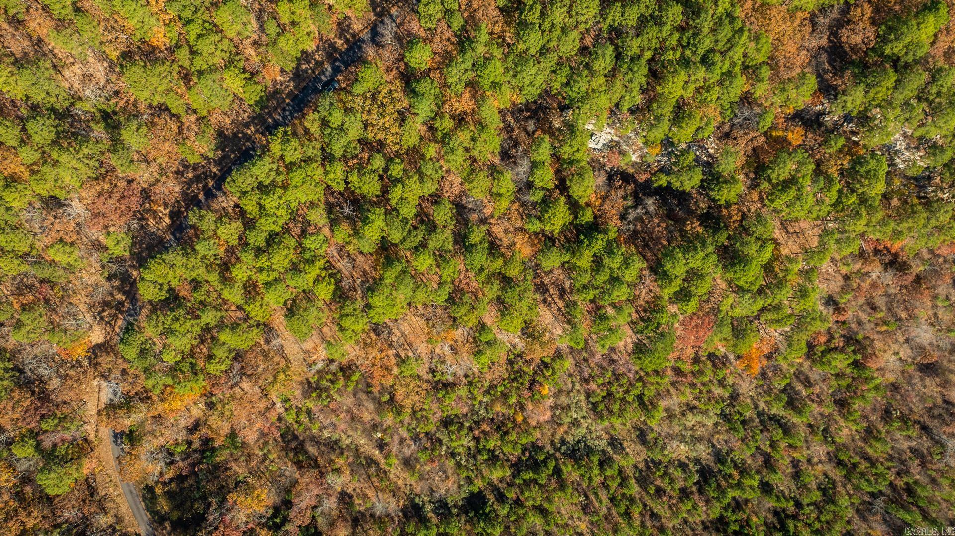 TBD Old Arkansas Drive