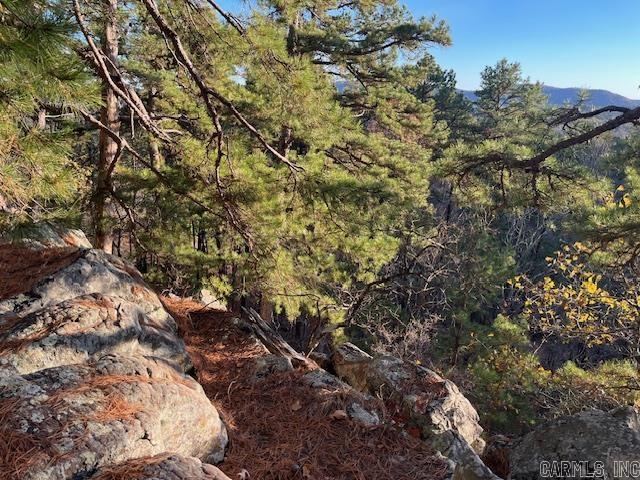 TBD Old Arkansas Drive