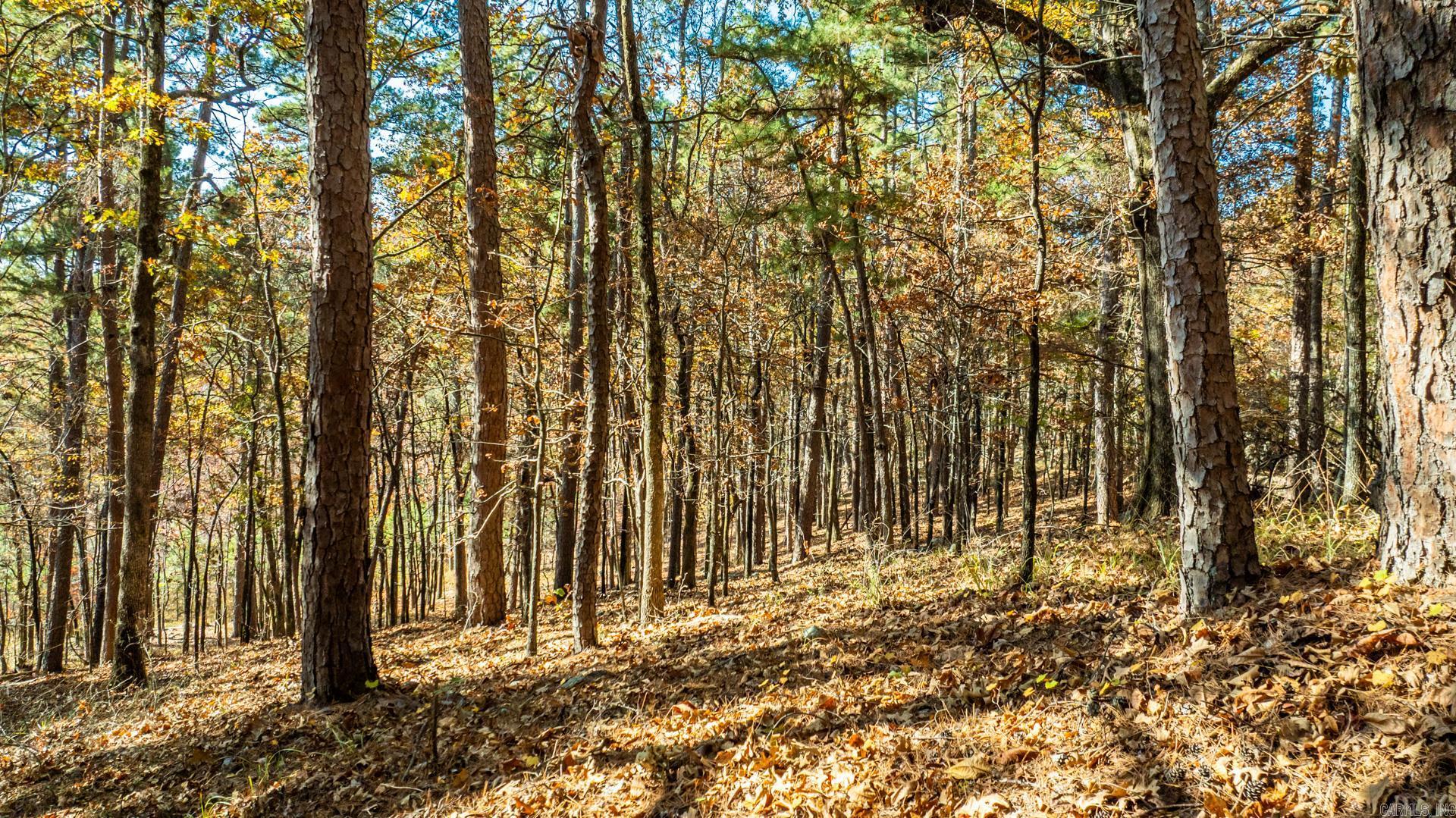 TBD Old Arkansas Drive