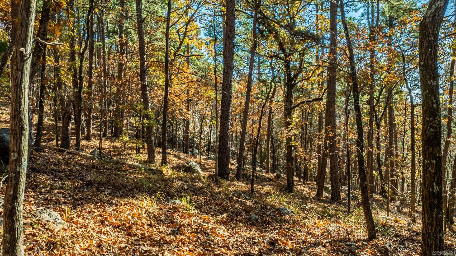 TBD Old Arkansas Drive