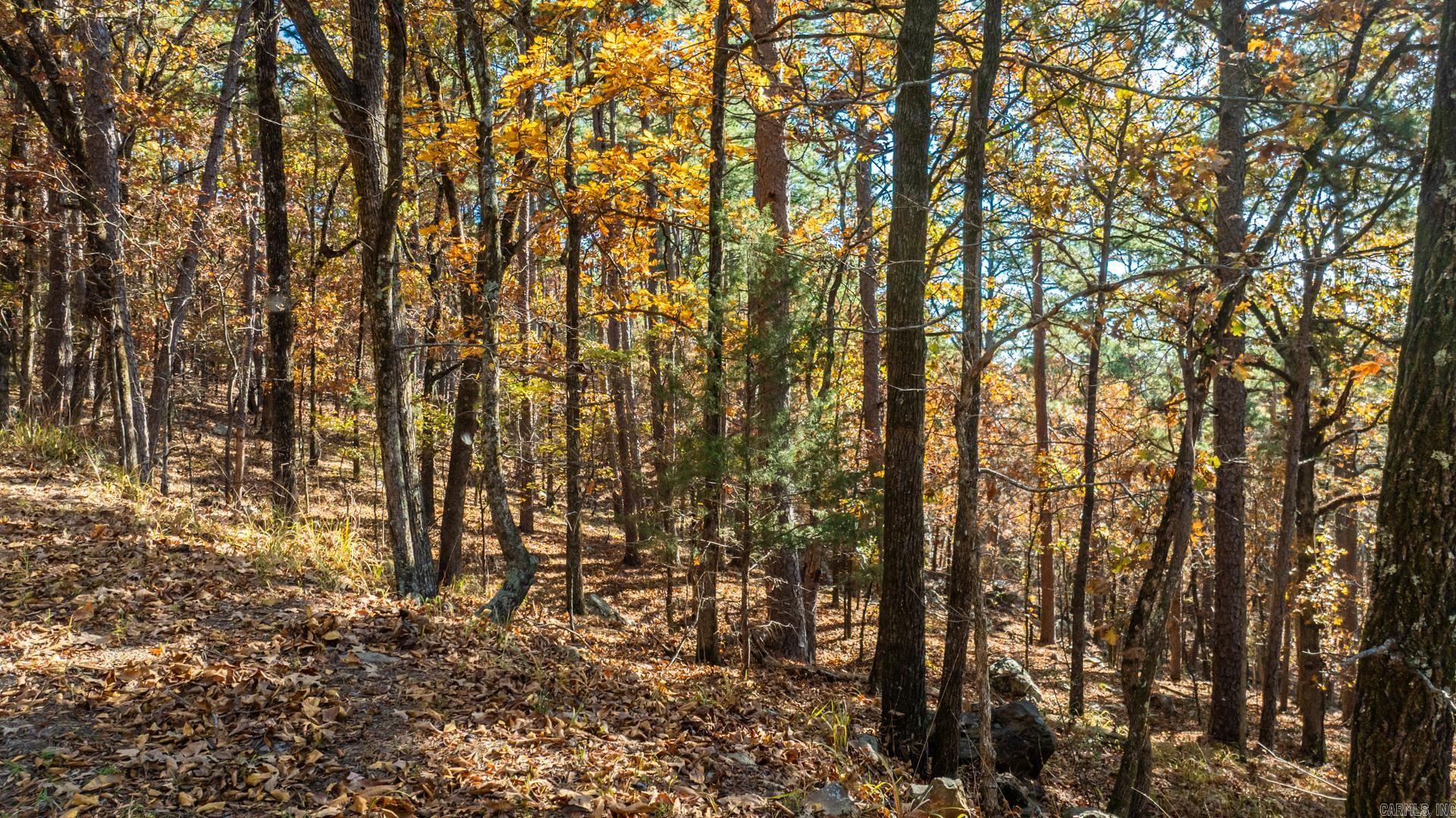 TBD Old Arkansas Drive