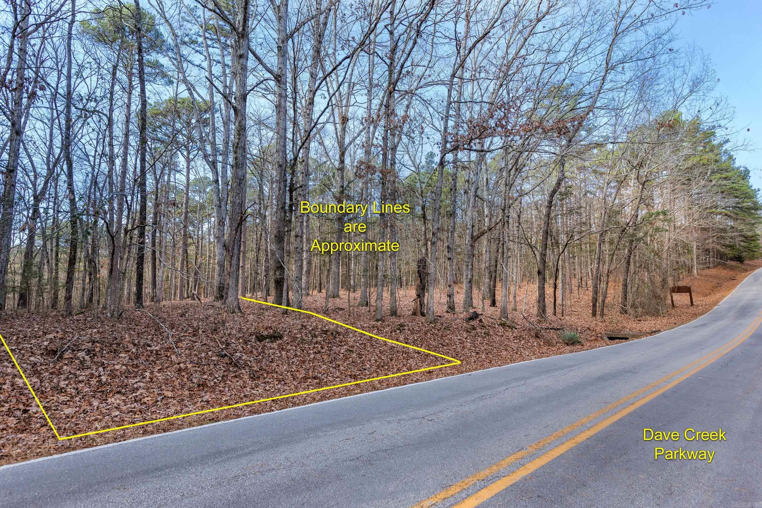 Lot 93 Dave Creek Parkway