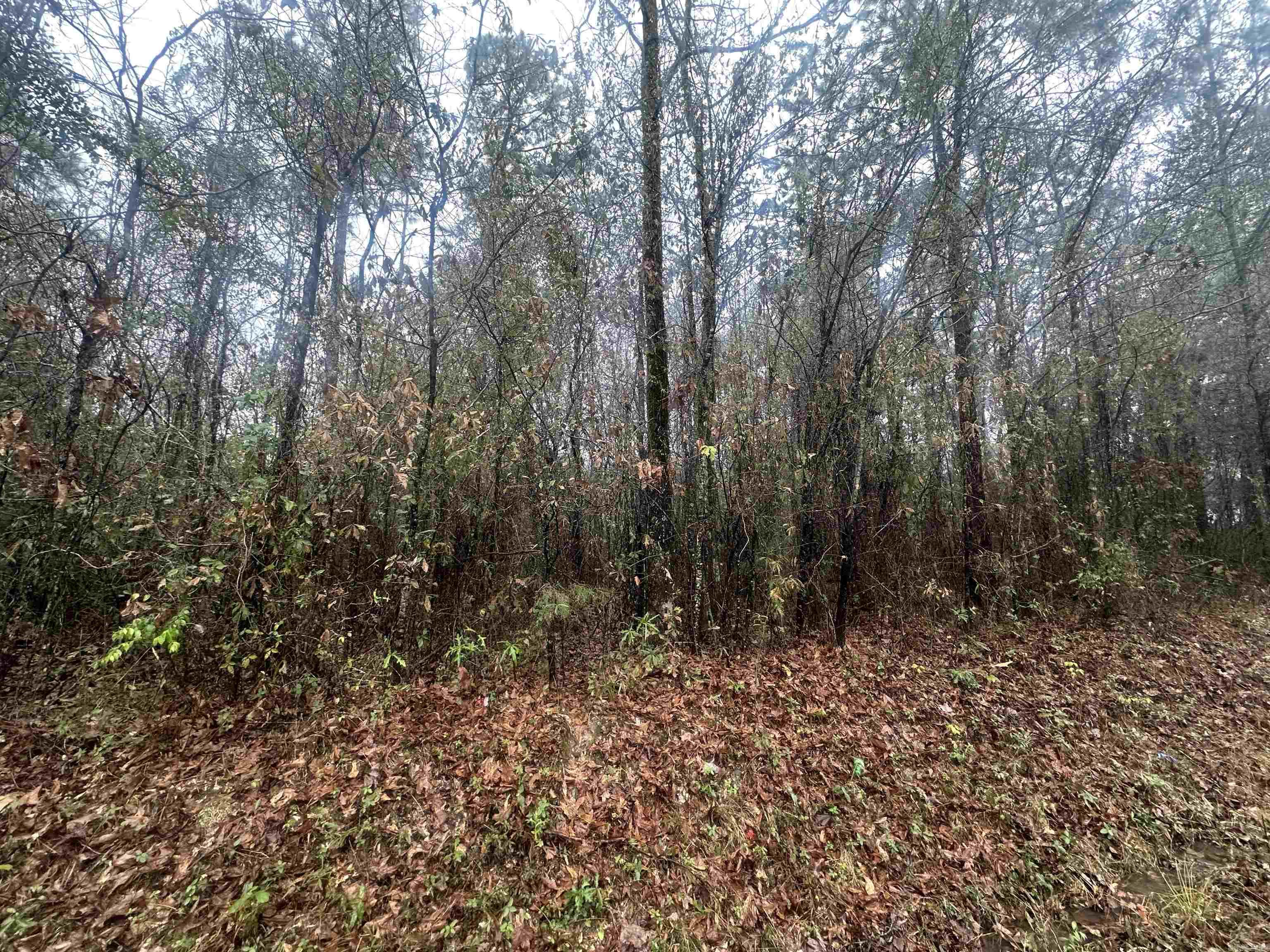 TBD Dogwood Drive