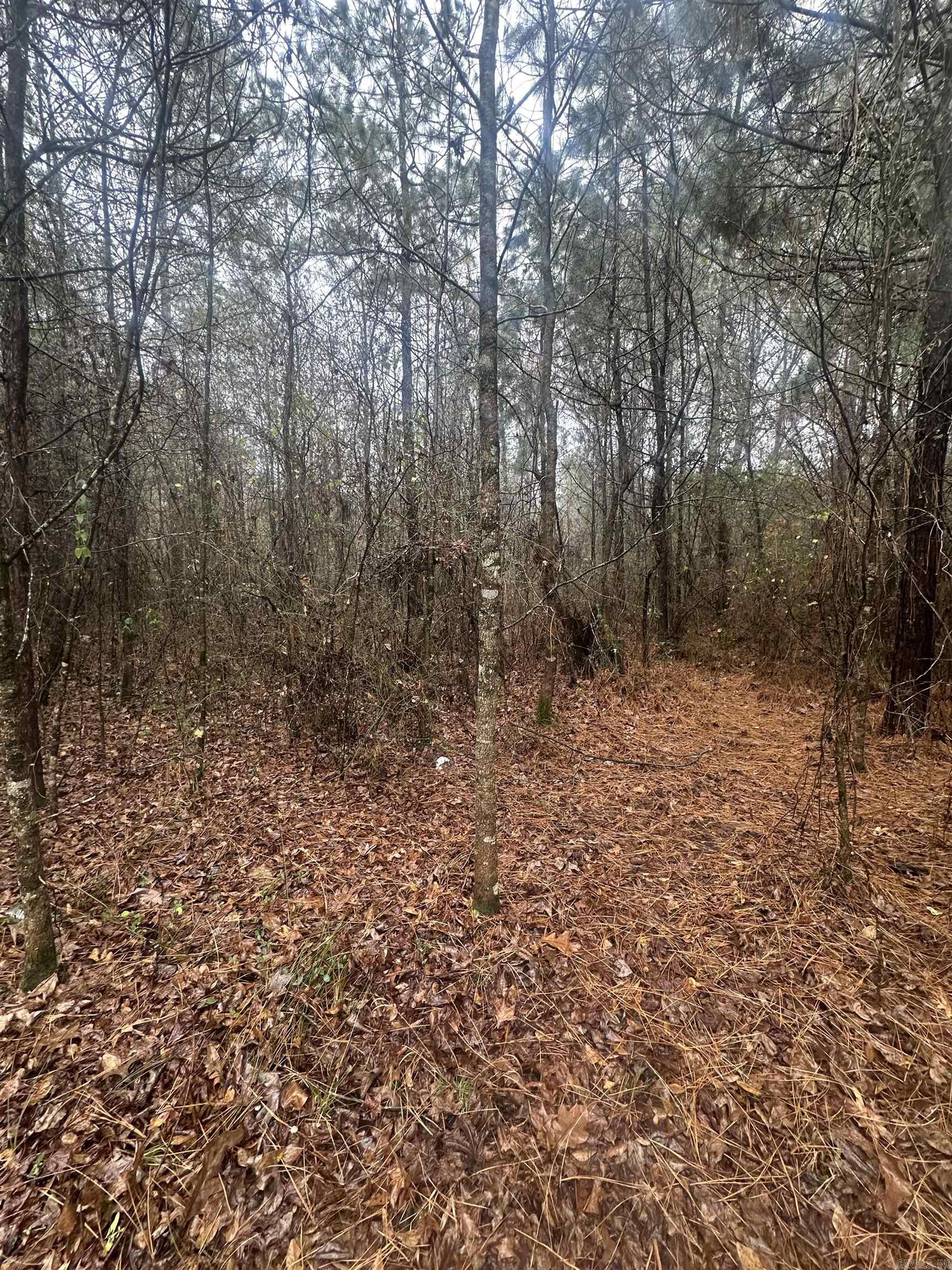 TBD Dogwood Drive